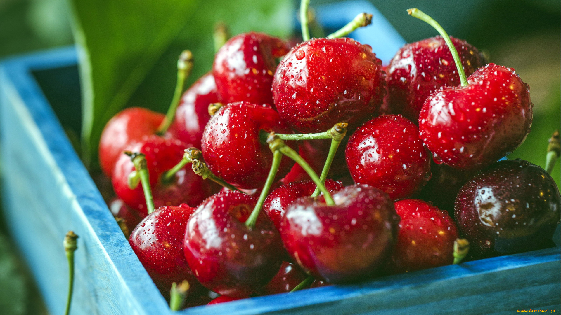 еда, вишня, , черешня