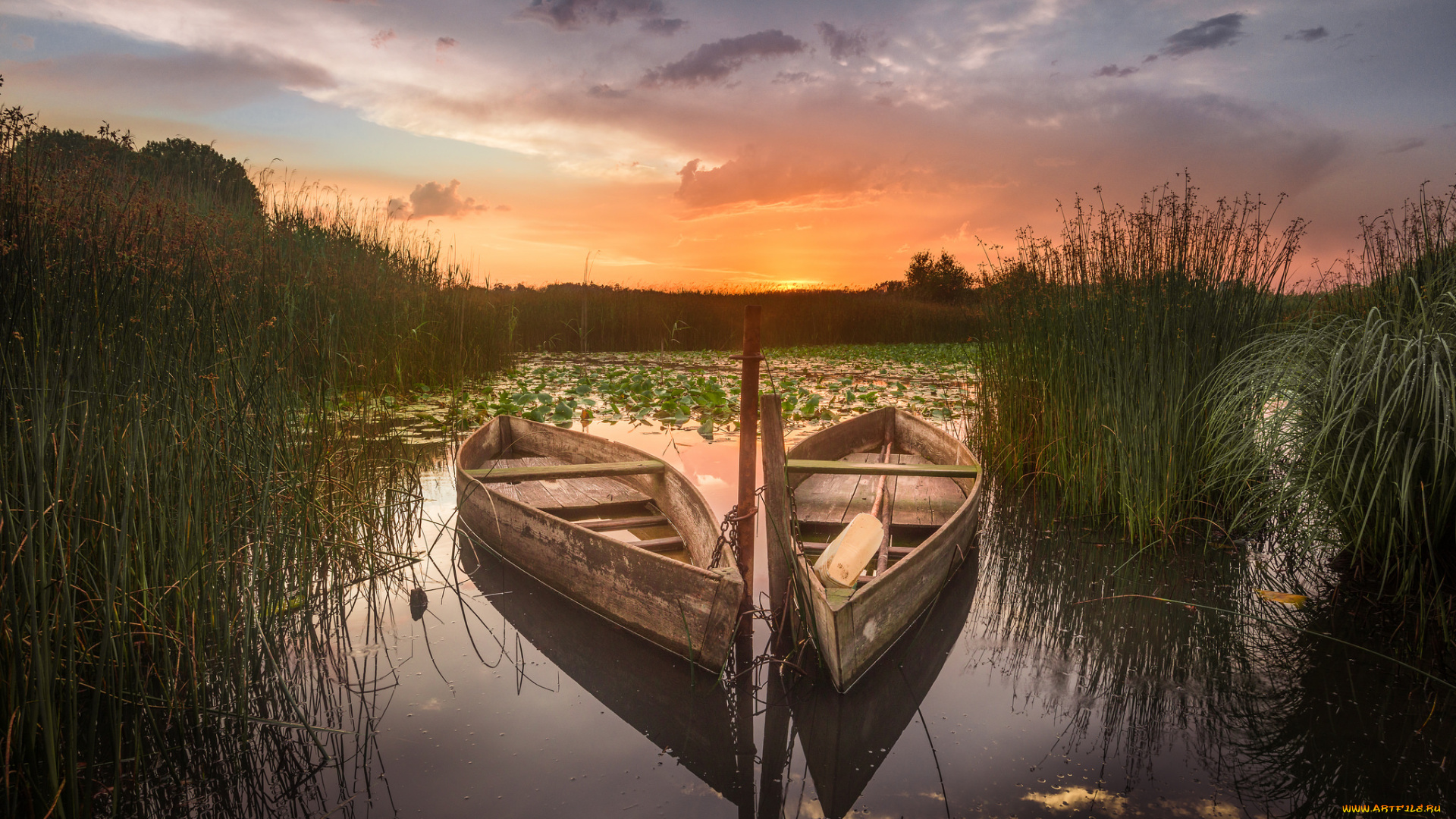 корабли, лодки, , шлюпки, круиз, лайнер