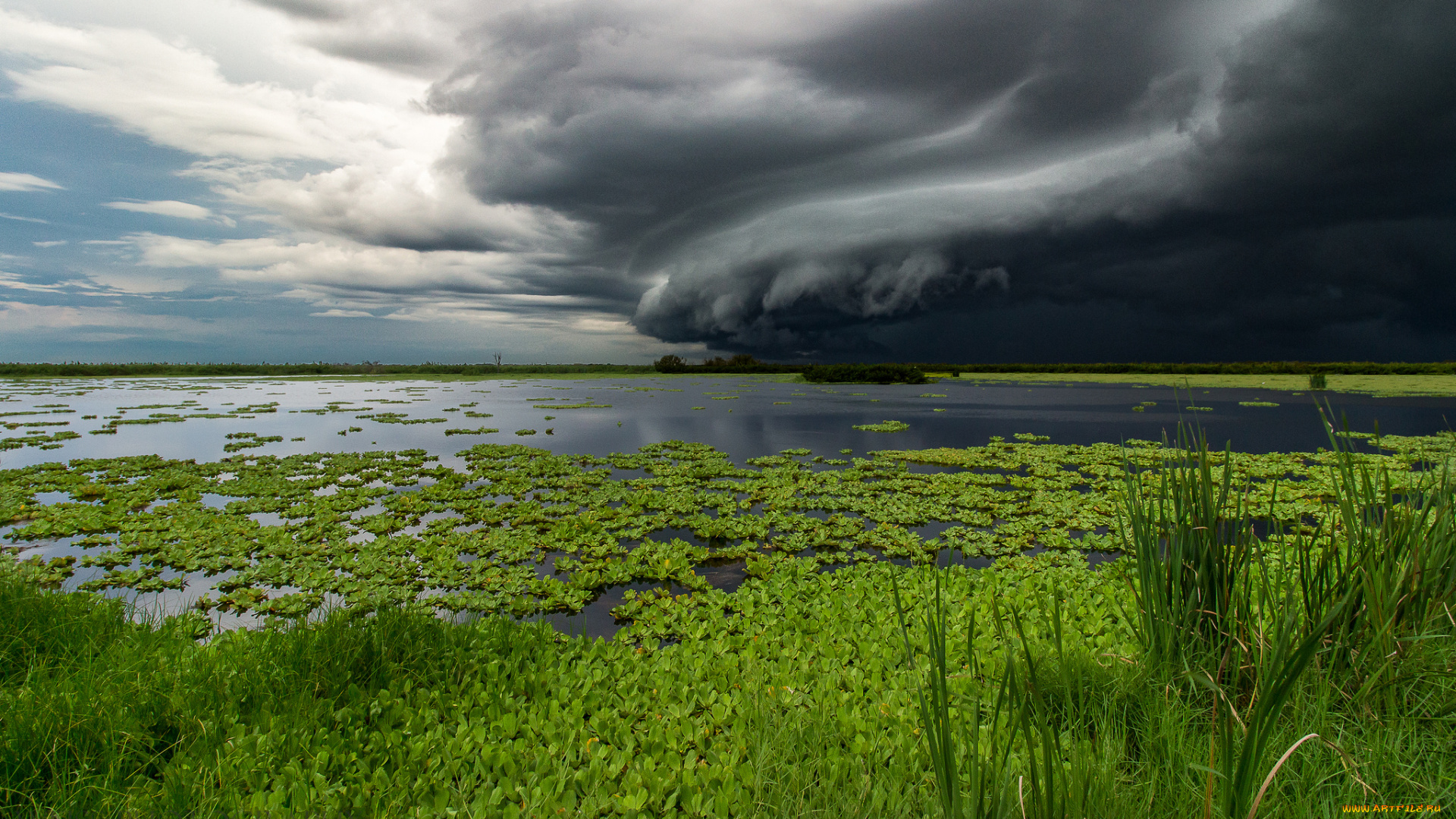 природа, стихия, простор