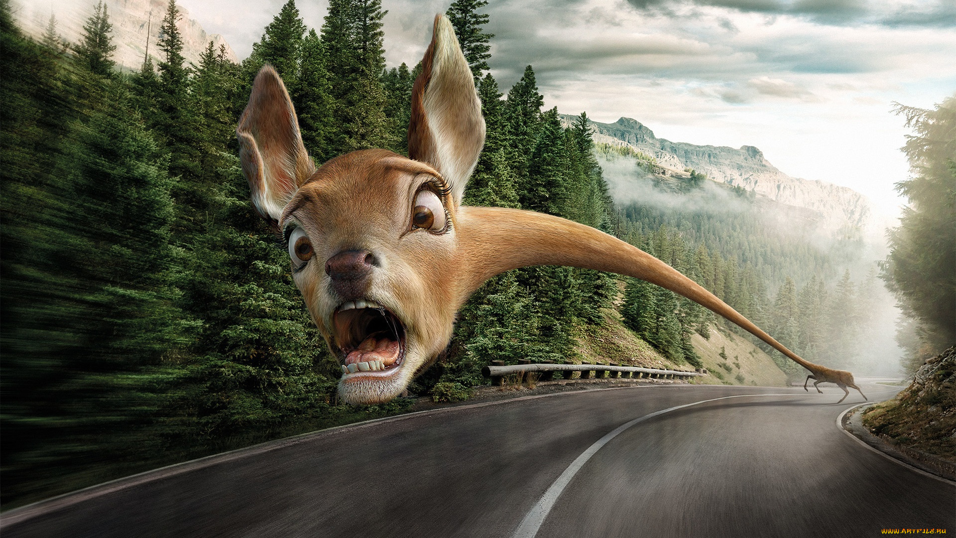 юмор, и, приколы, опасность, страх, дорога