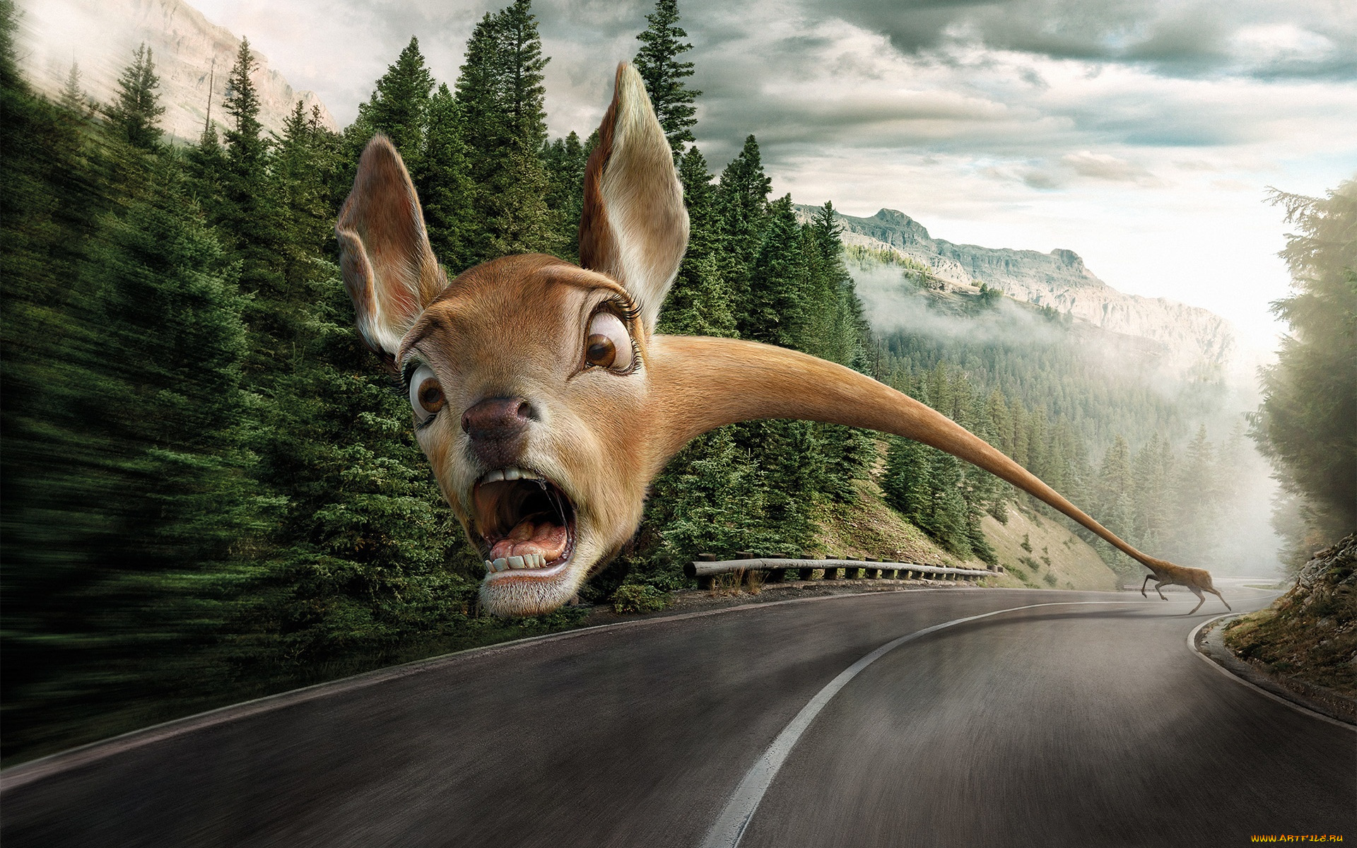 юмор, и, приколы, опасность, страх, дорога