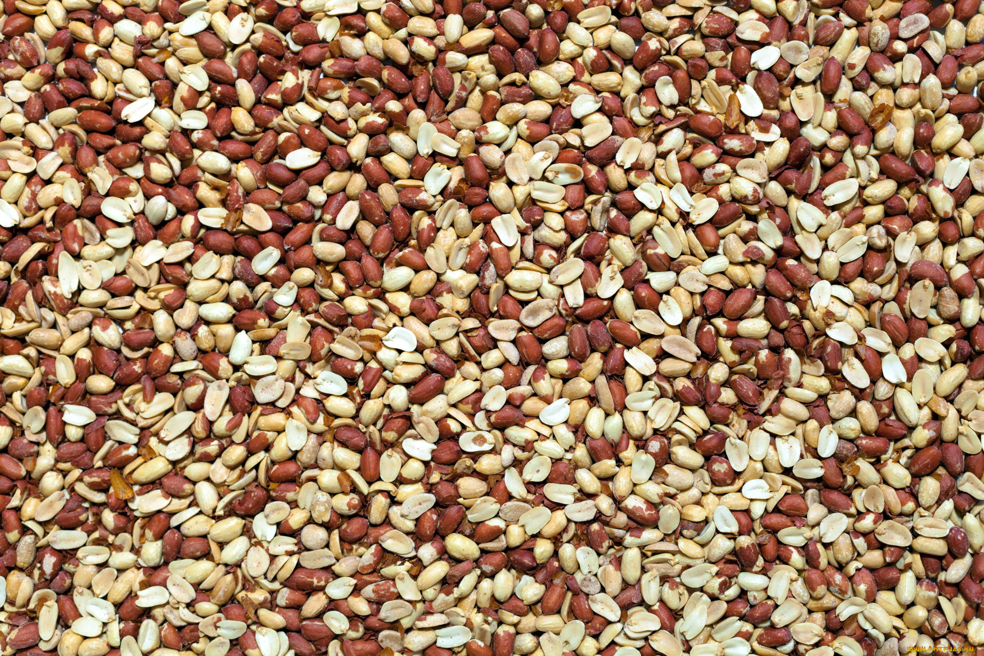 еда, орехи, , каштаны, , какао-бобы, арахис