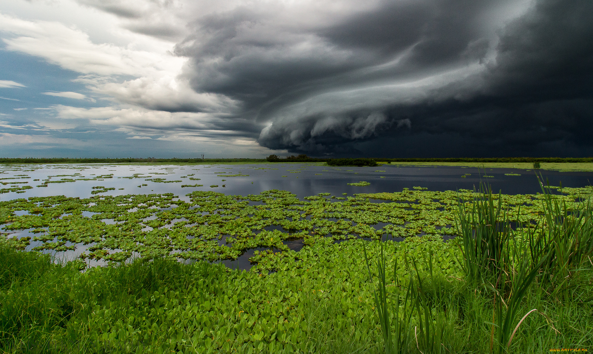 природа, стихия, простор