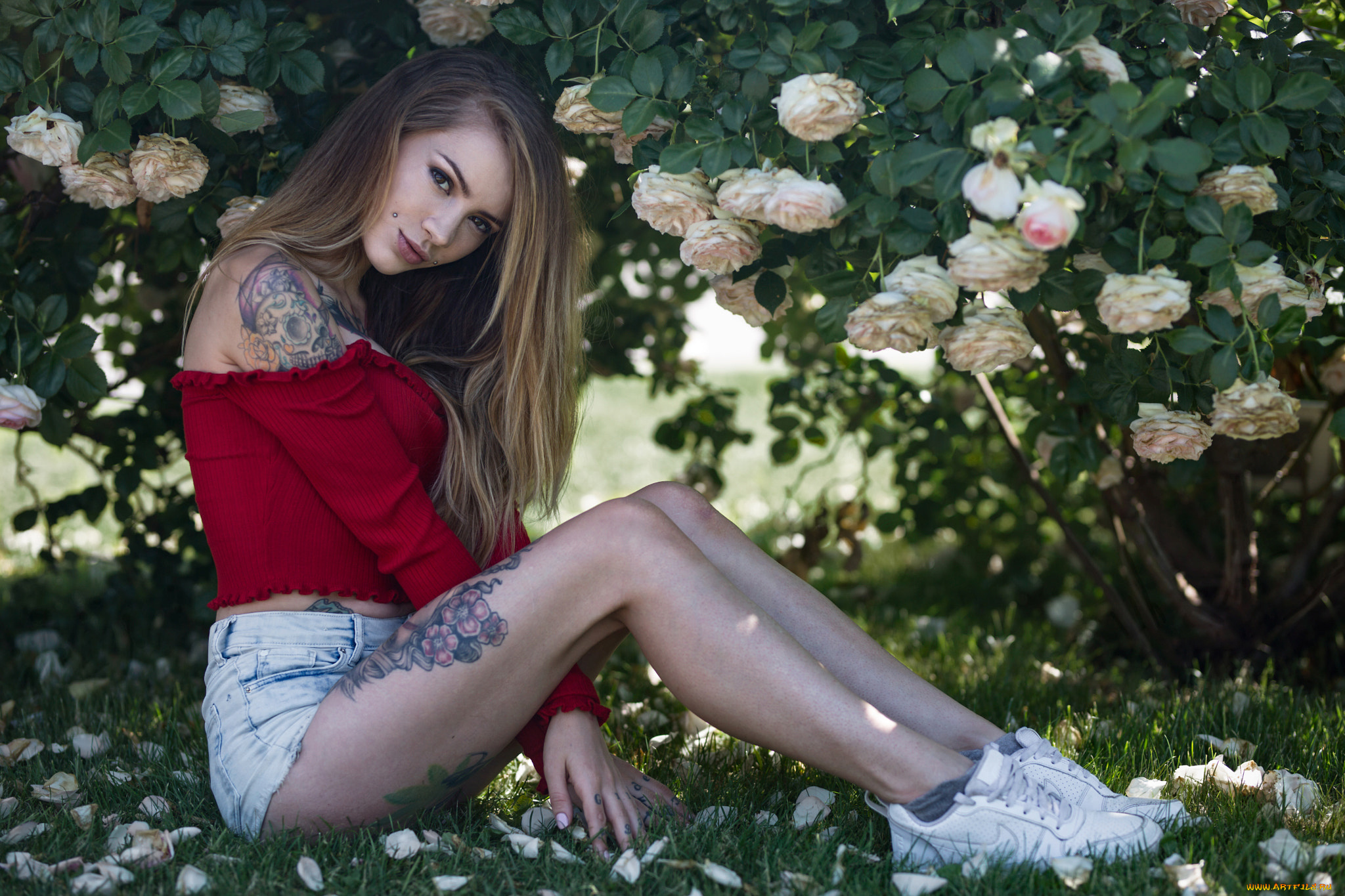 девушка, девушки, -unsort, , блондинки, , светловолосые, модель