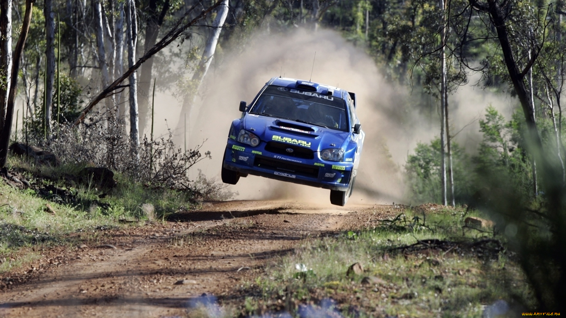 спорт, автоспорт, гонки