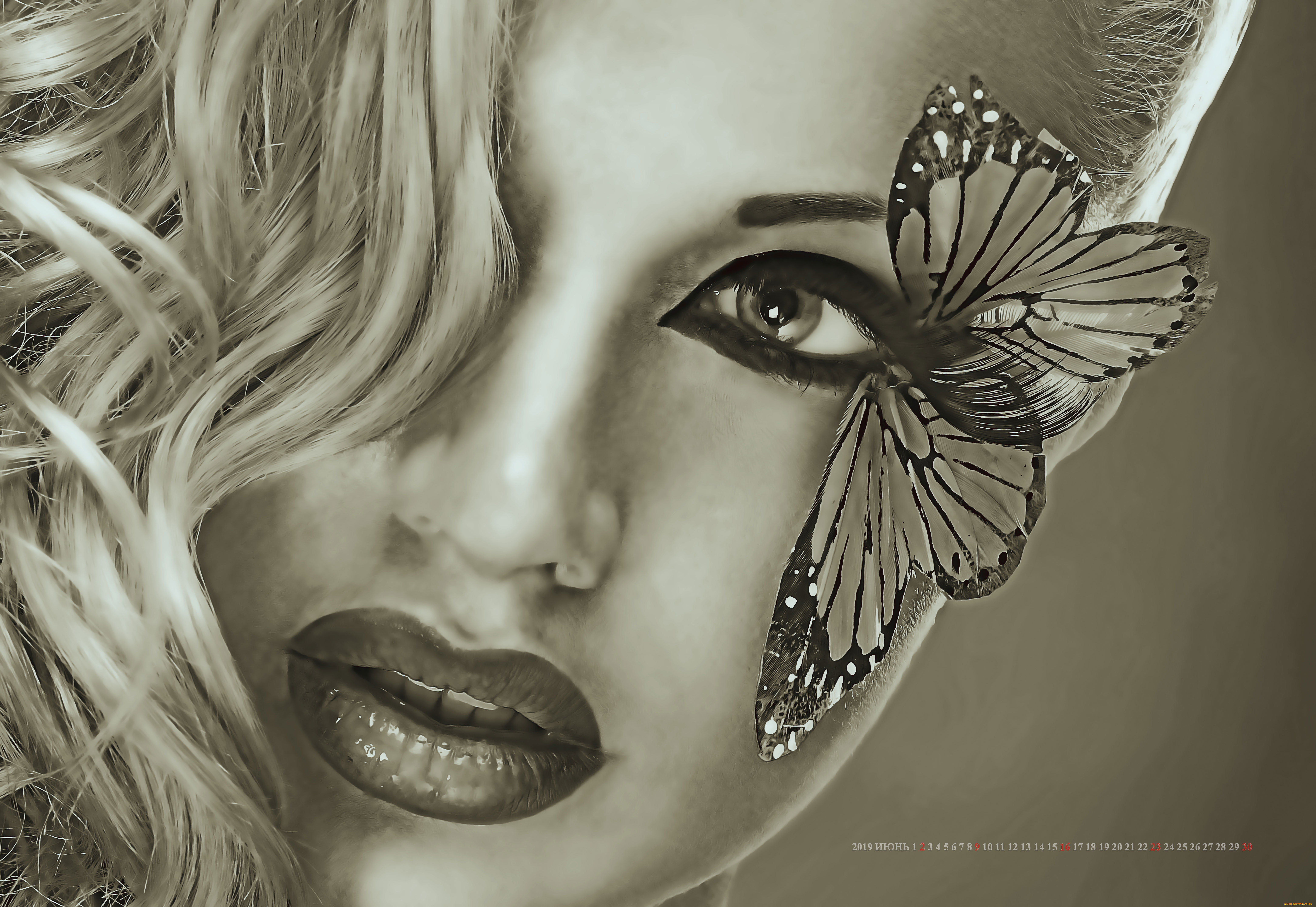 календари, компьютерный, дизайн, лицо, calendar, 2019, бабочка, женщина, девушка