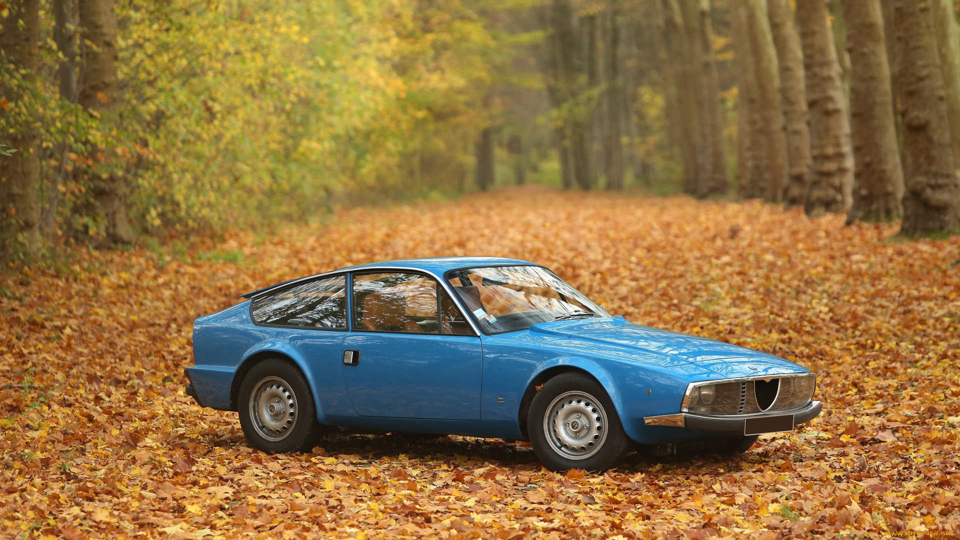 автомобили, alfa, romeo, junior