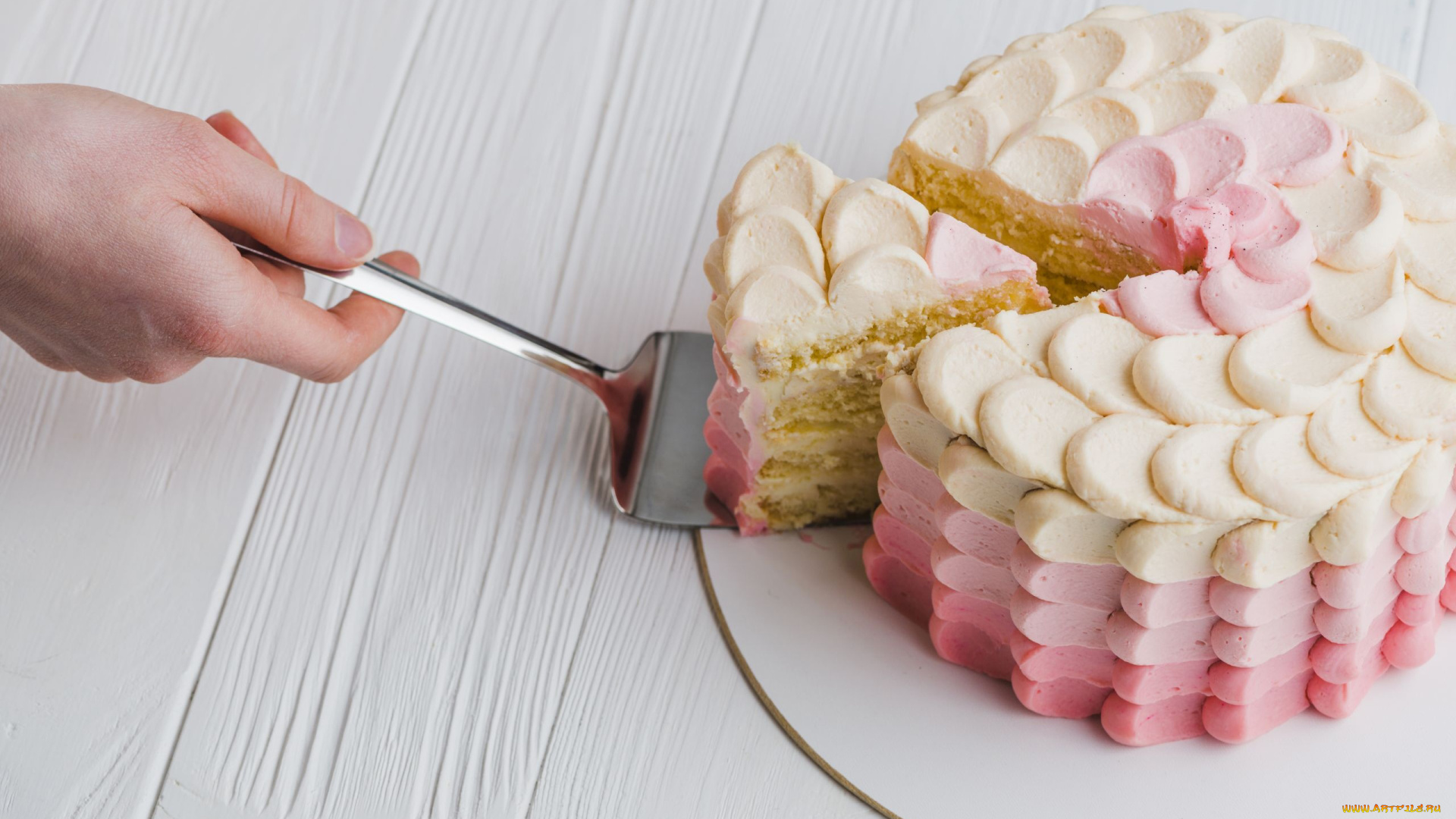 еда, торты, кремовый, торт