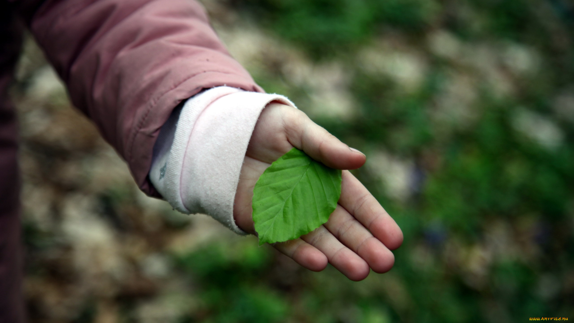 разное, руки, , ноги, рука, лист
