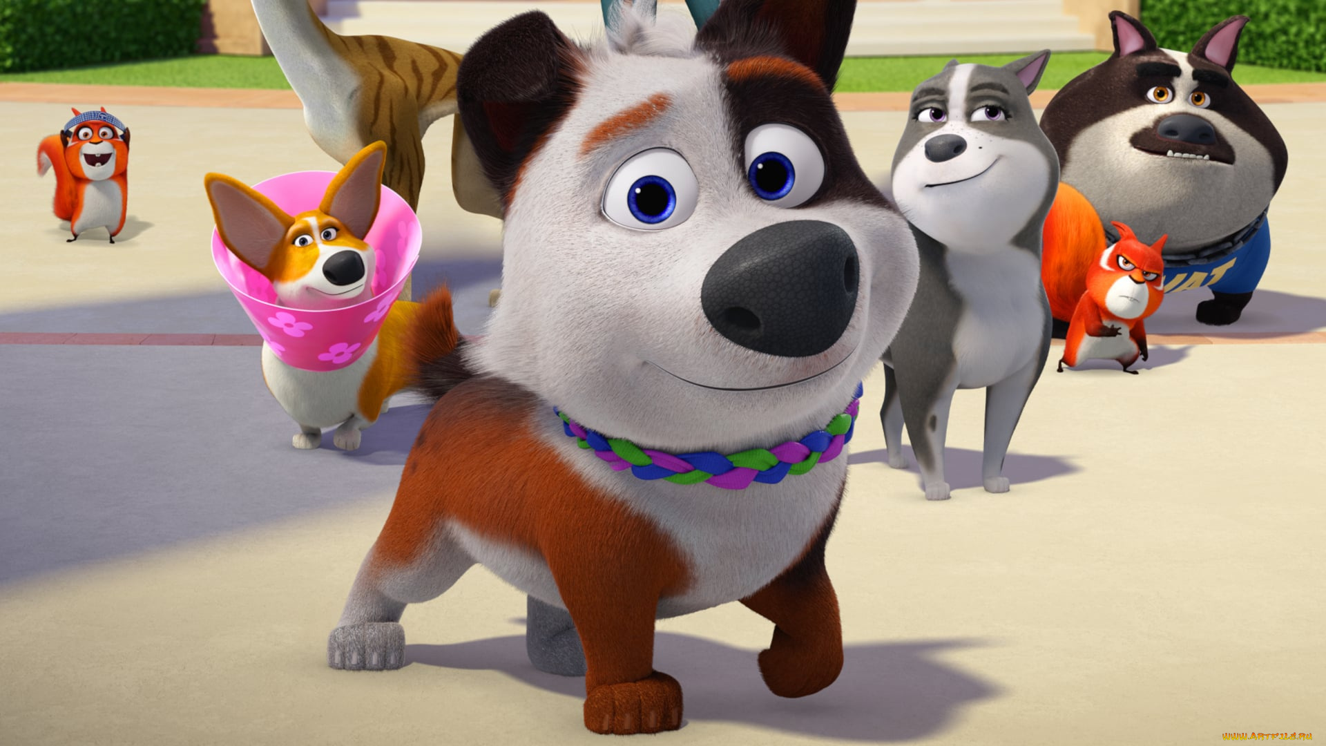 trouble, , 2019, мультфильмы, -unknown, , разное, королевские, каникулы, мультфильм, канада, сша, каймановы, острова