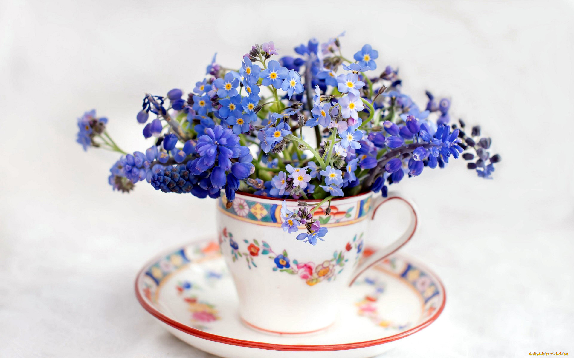 цветы, разные, вместе, незабудки, мускари, букет