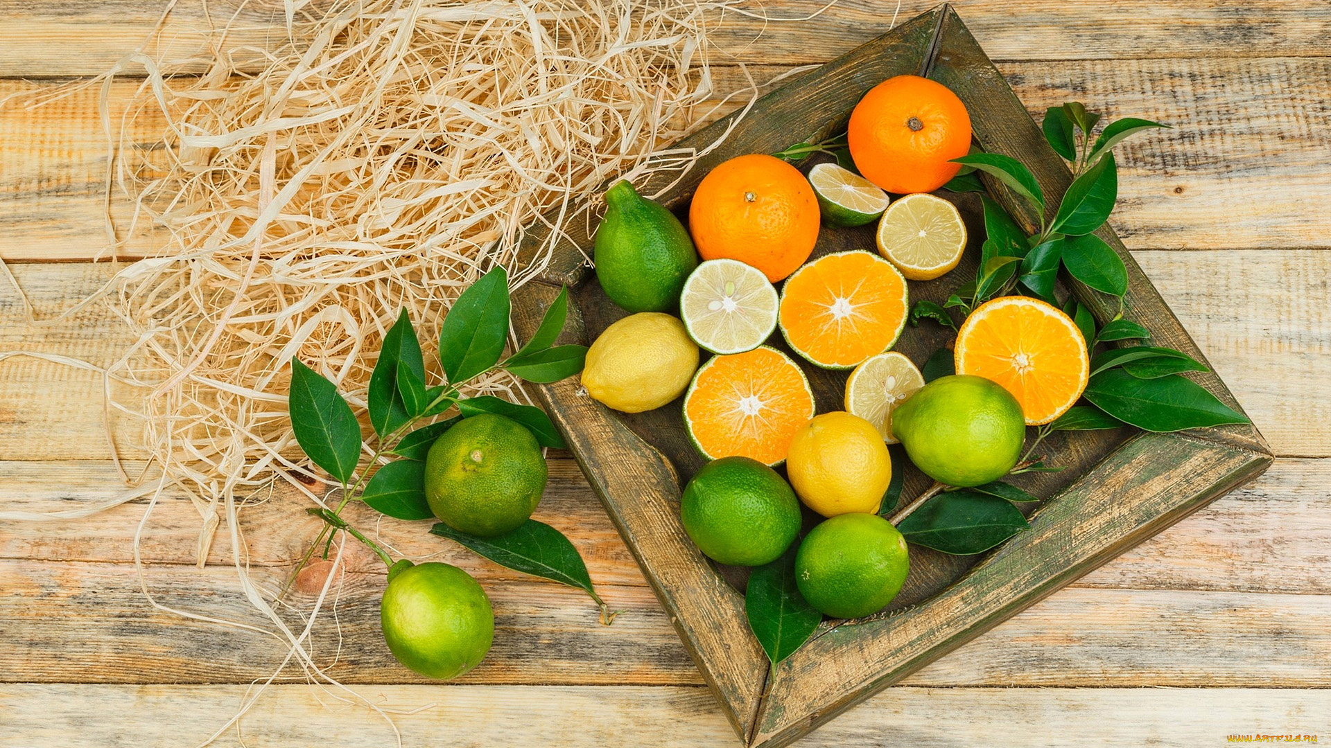еда, цитрусы, лайм, лимон, апельсин