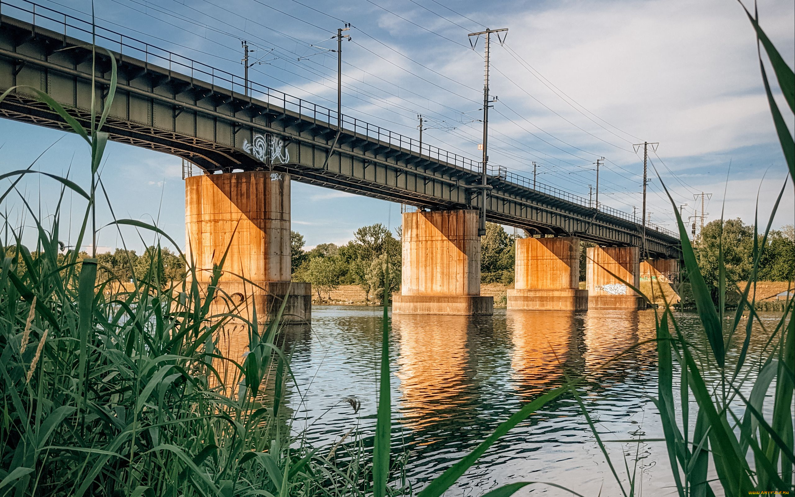 города, -, мосты, река, мост, камыши