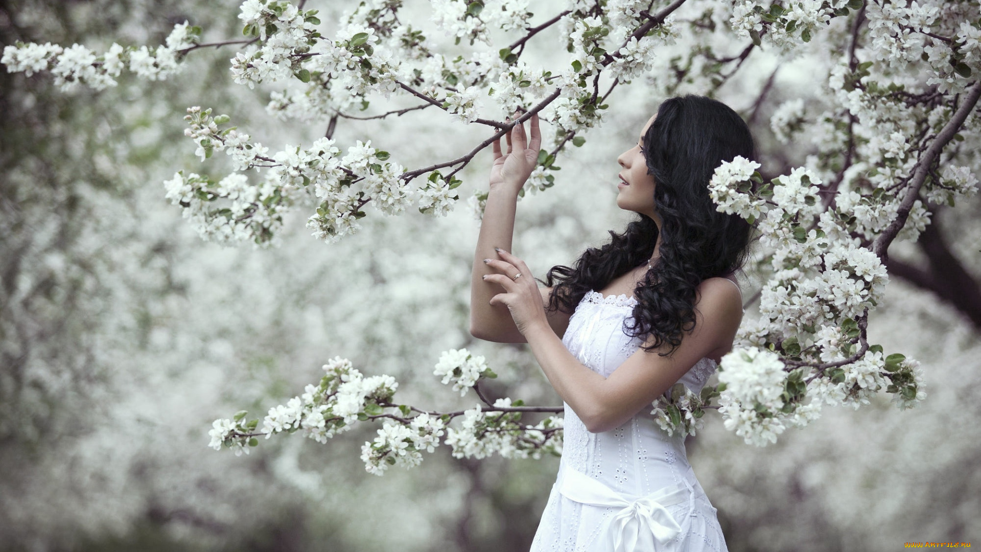 девушка, -, girl, девушки, -, невесты, девушка, женщина, брюнетка, темноволосая, сексуальная, модель, звезда, позирует, разная, обувь, верхняя, стильная, одежда, нижнее, эротическое, бельё, трусы, лифчик, колготки, чулки, аксессуары, макияж, и, множество, элементов, на, фотографии