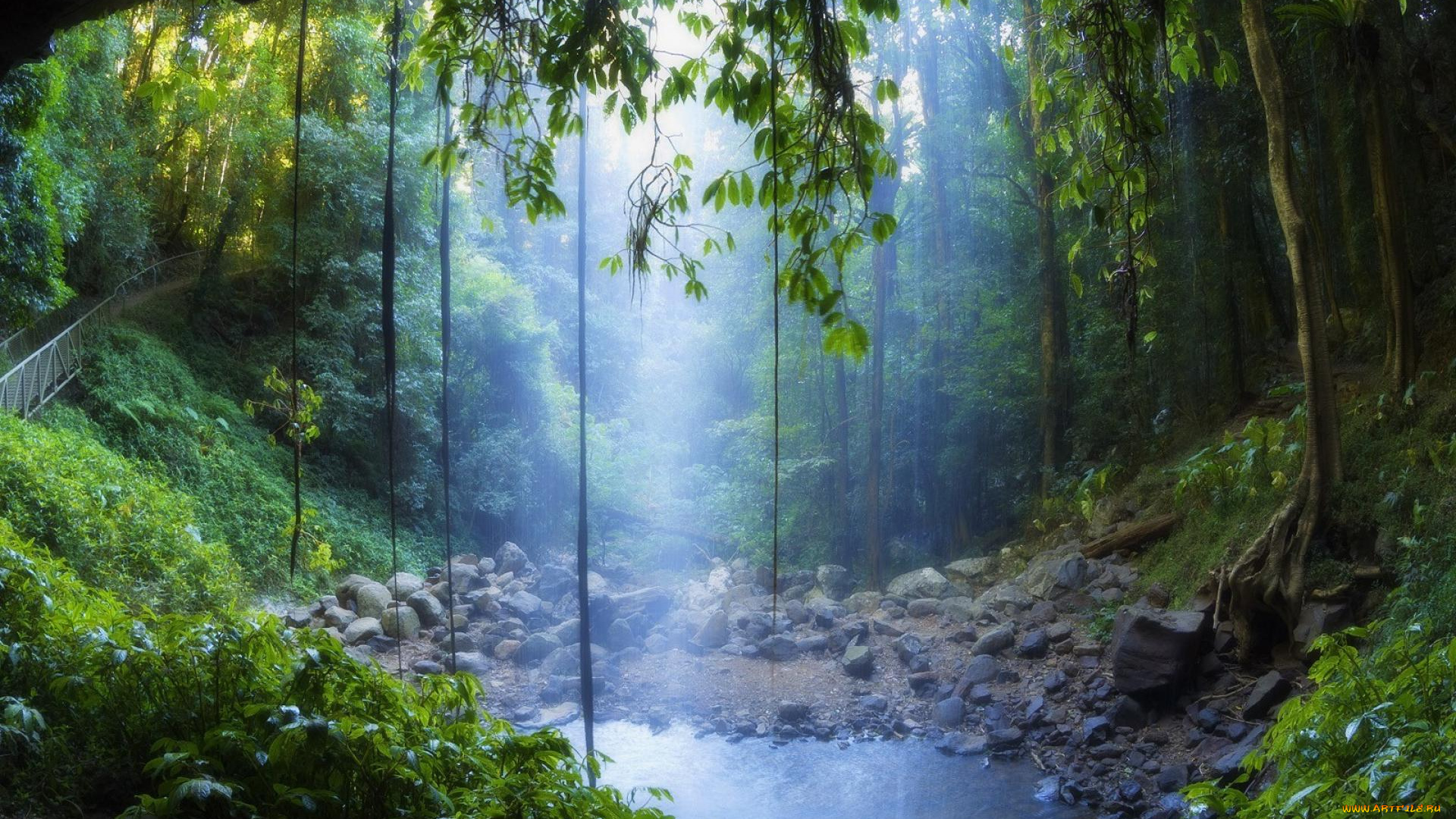 природа, реки, озера, озеро, лес, мост