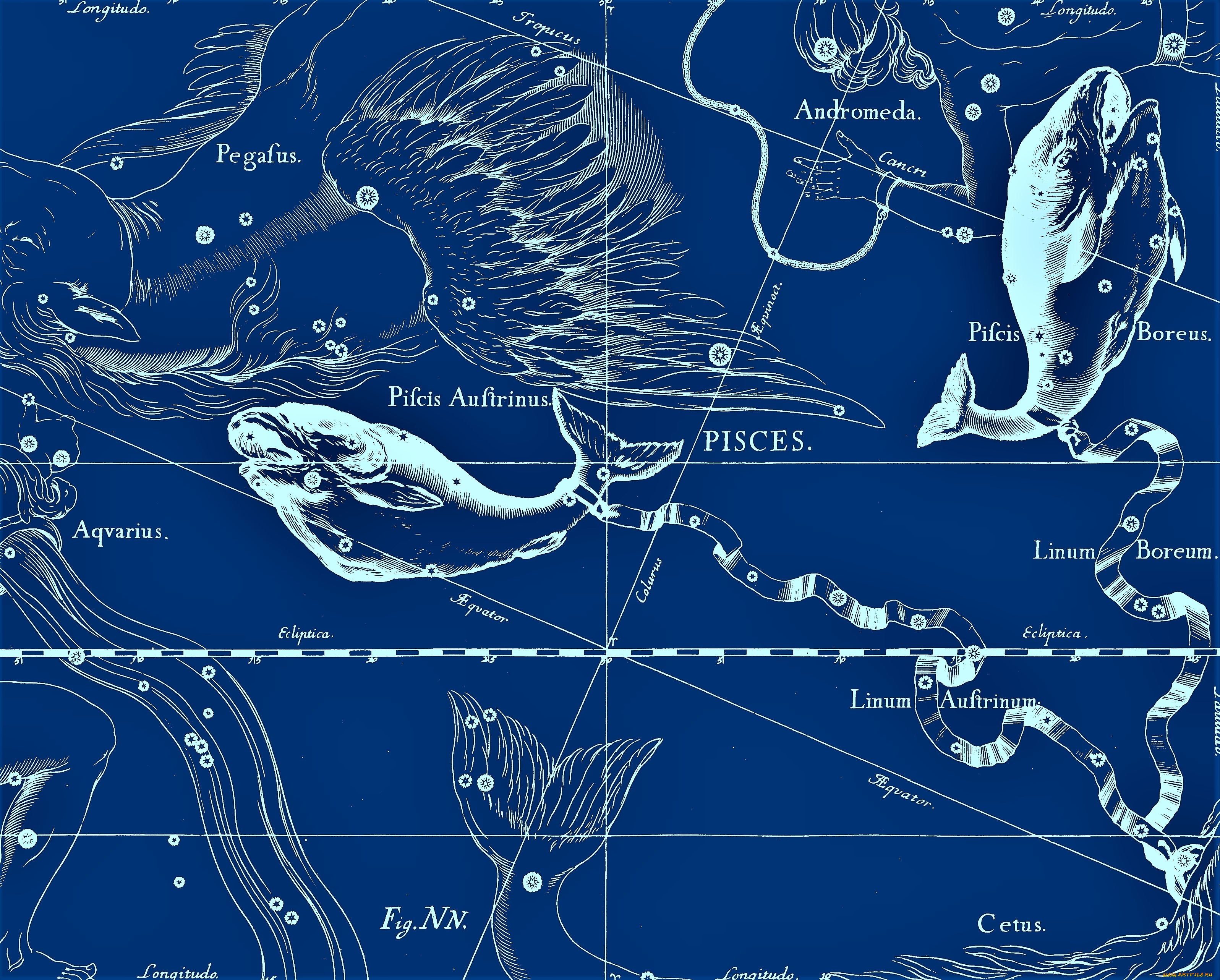 разное, знаки, зодиака, рыбы, созвездия