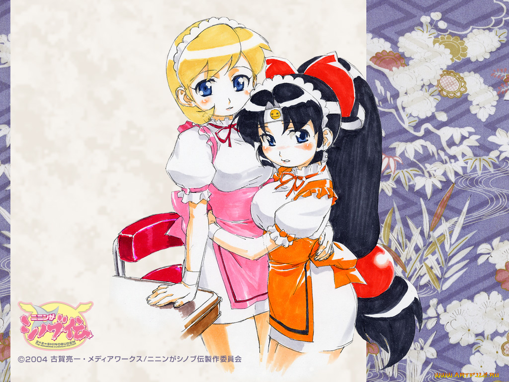 2x2=shinobuden, аниме