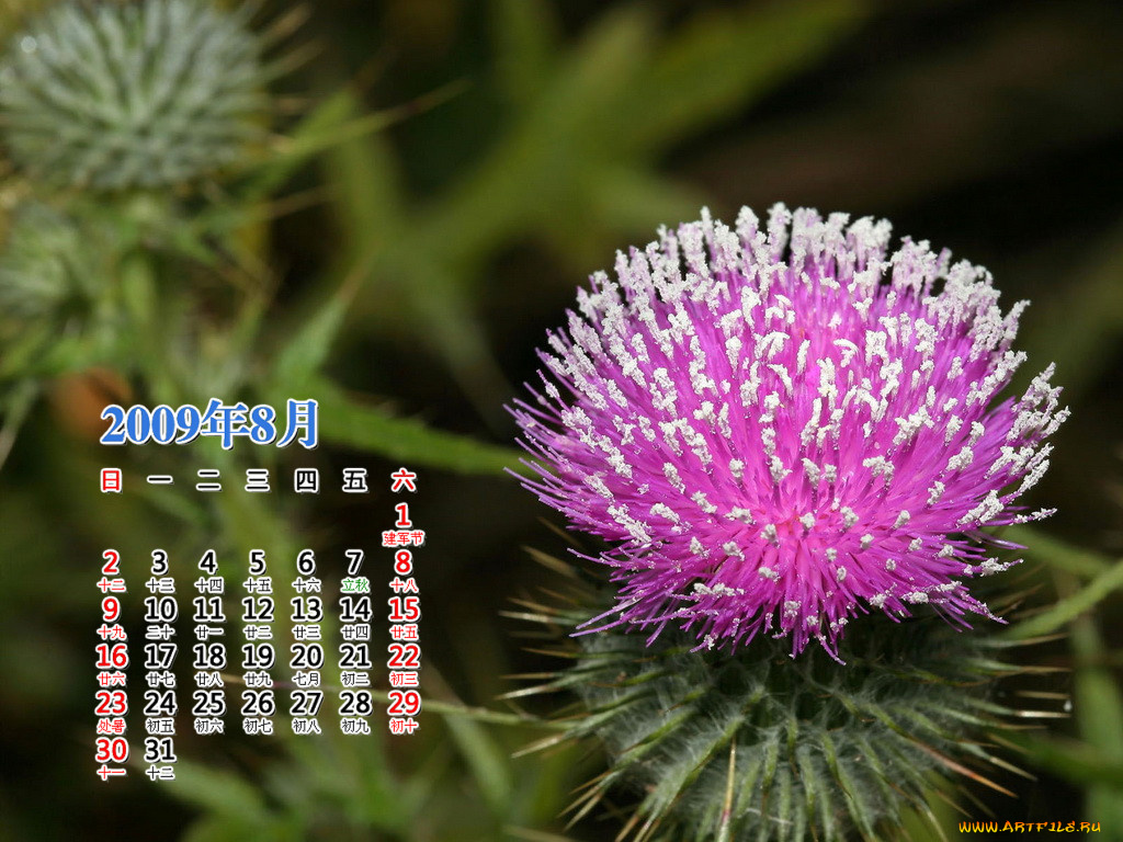 календари, цветы