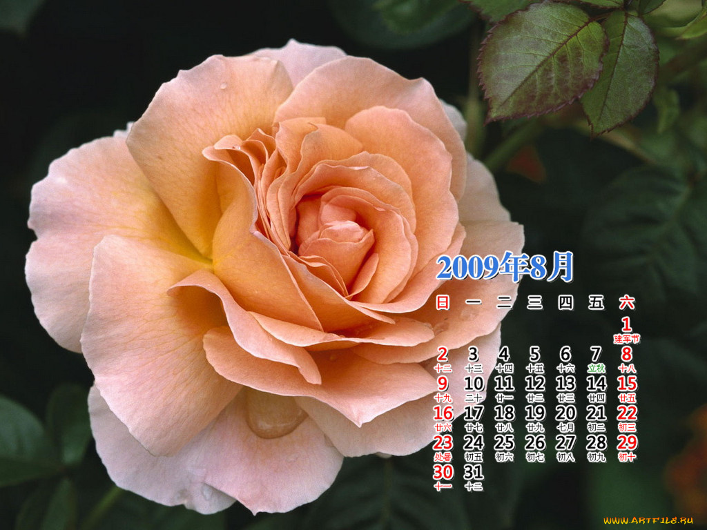 календари, цветы