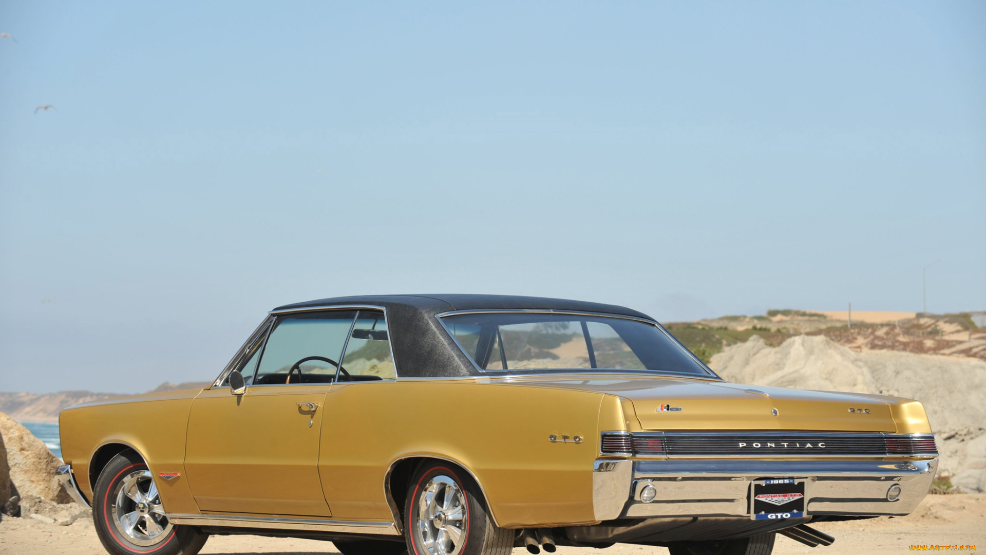 gto, автомобили, pontiac