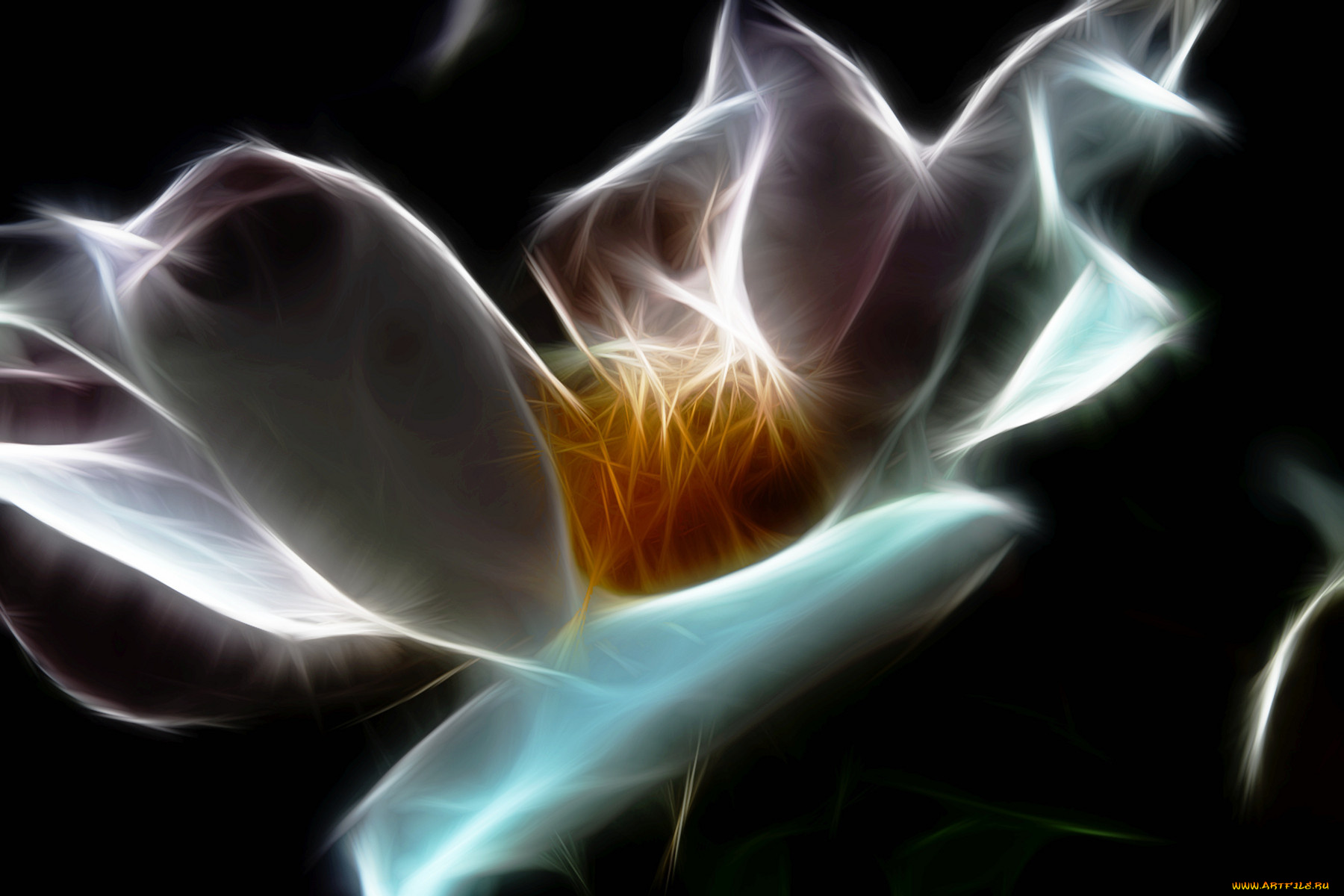 3д, графика, flowers, цветы, фрактал