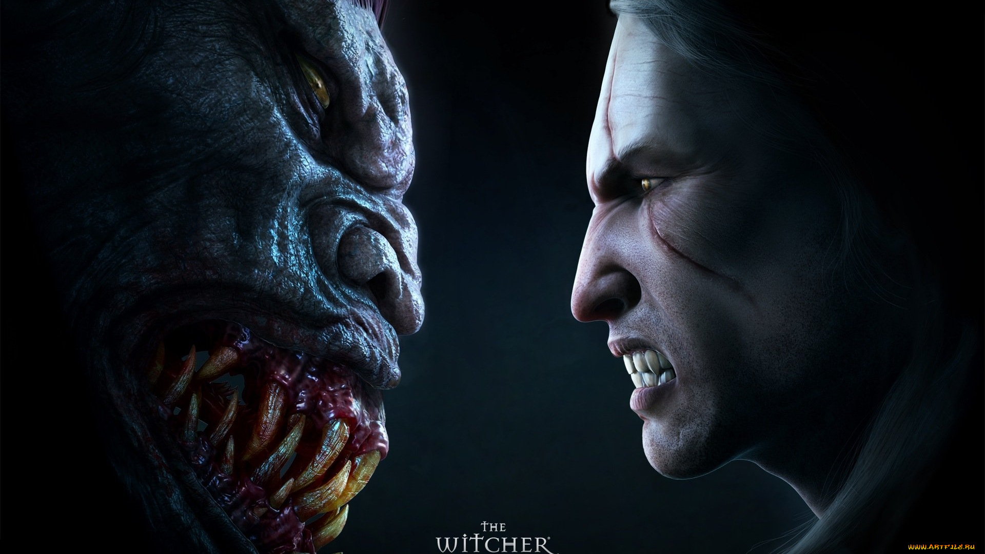 видео, игры, the, witcher, игра