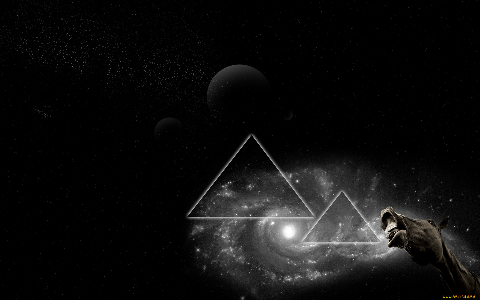 3д, графика, animals, животные, лошадь, триугольники