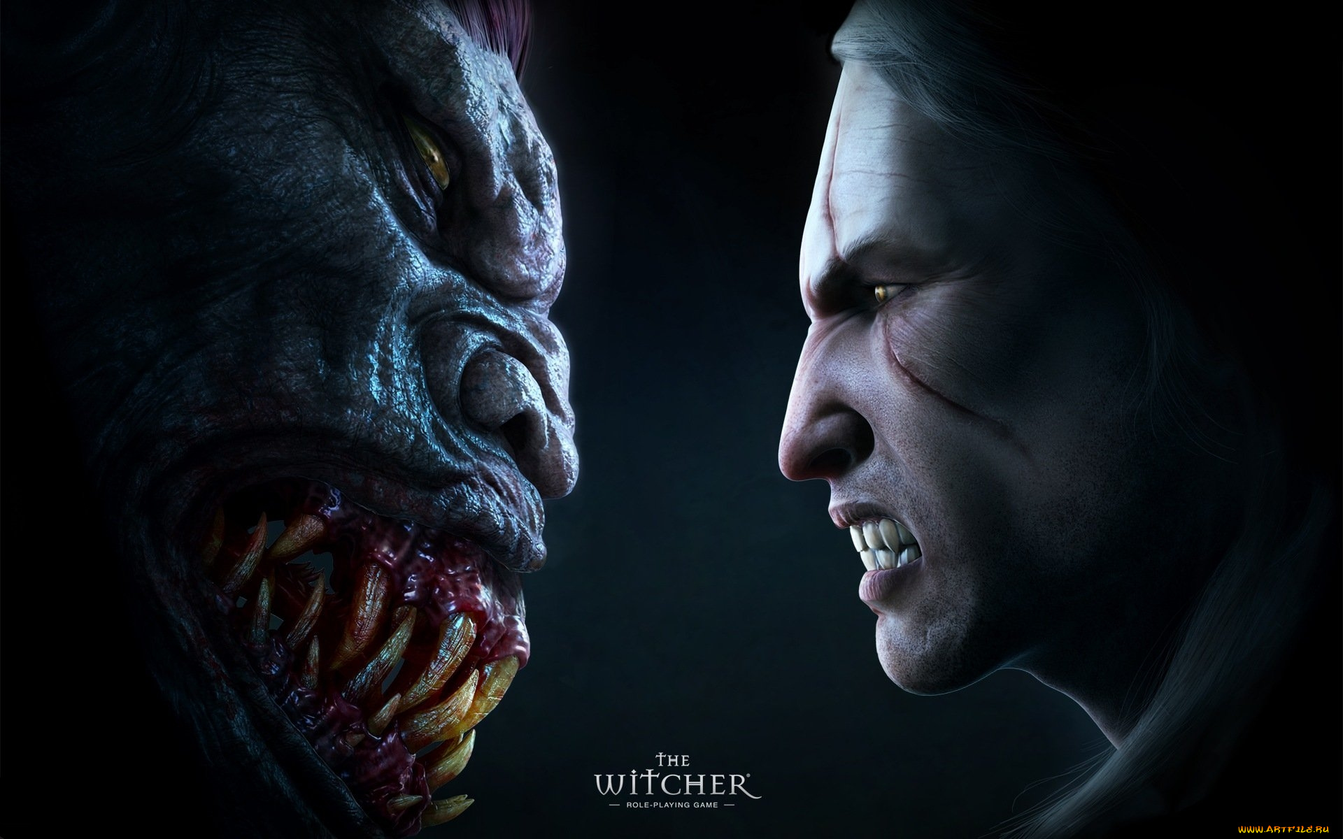 видео, игры, the, witcher, игра