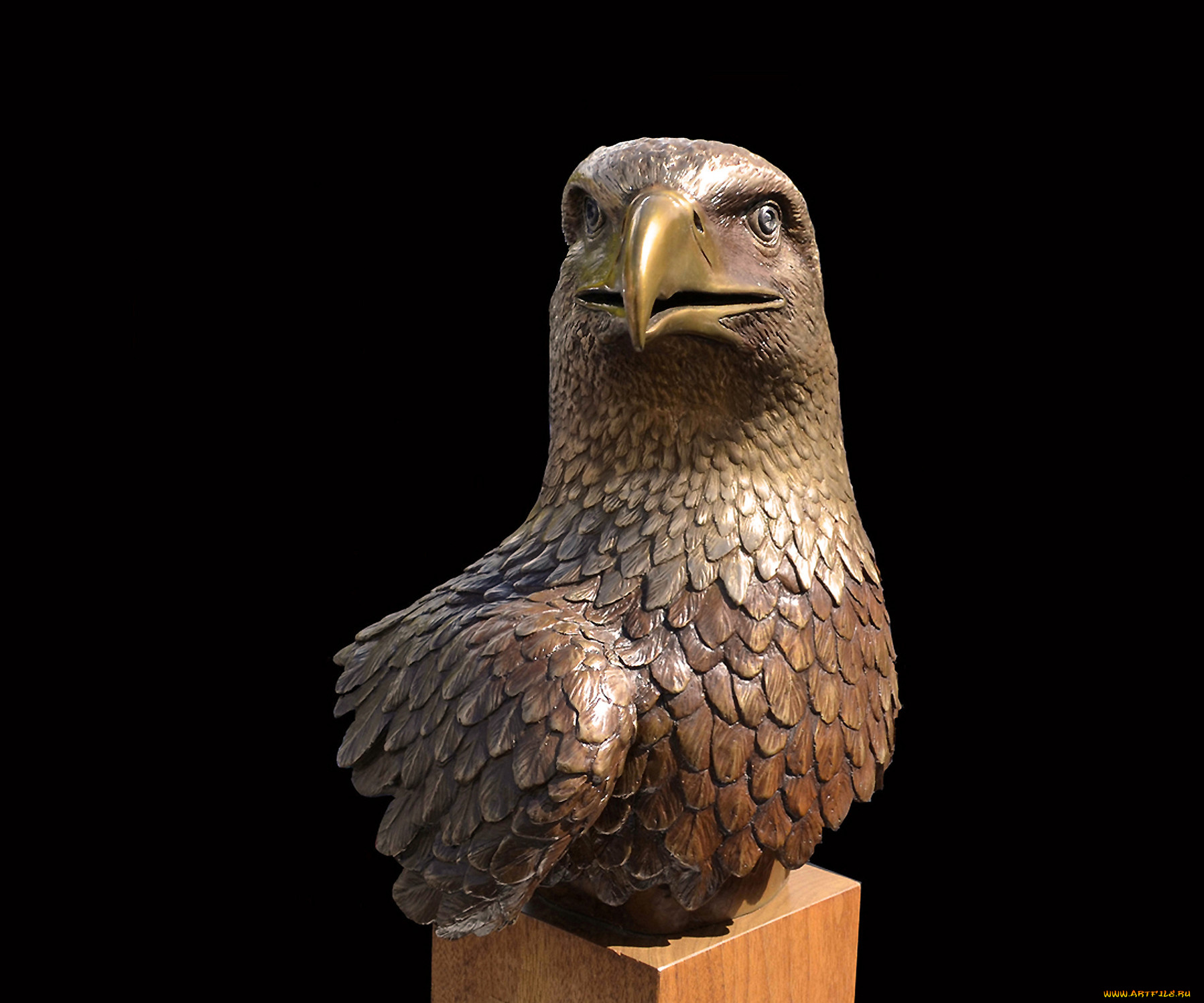 разное, рельефы, статуи, музейные, экспонаты, орел