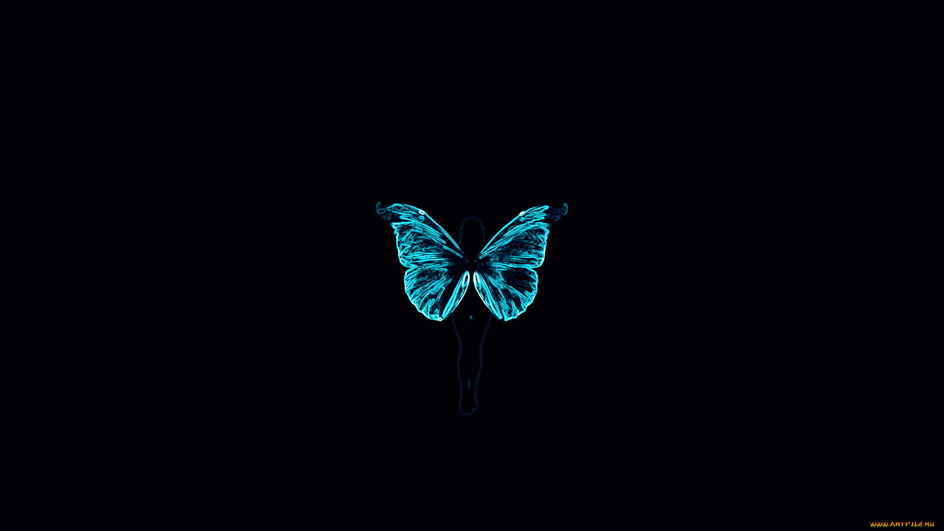 3д, графика, animals, животные, бабачка