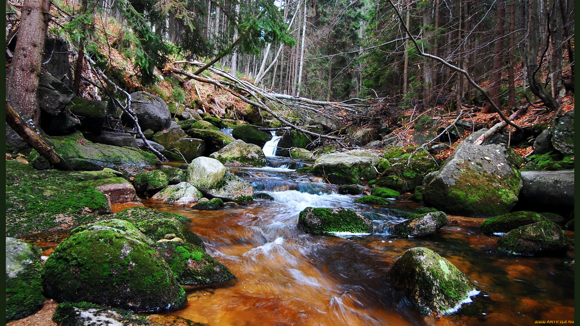 польша, шклярска, поремба, природа, водопады, река, водопад, лес
