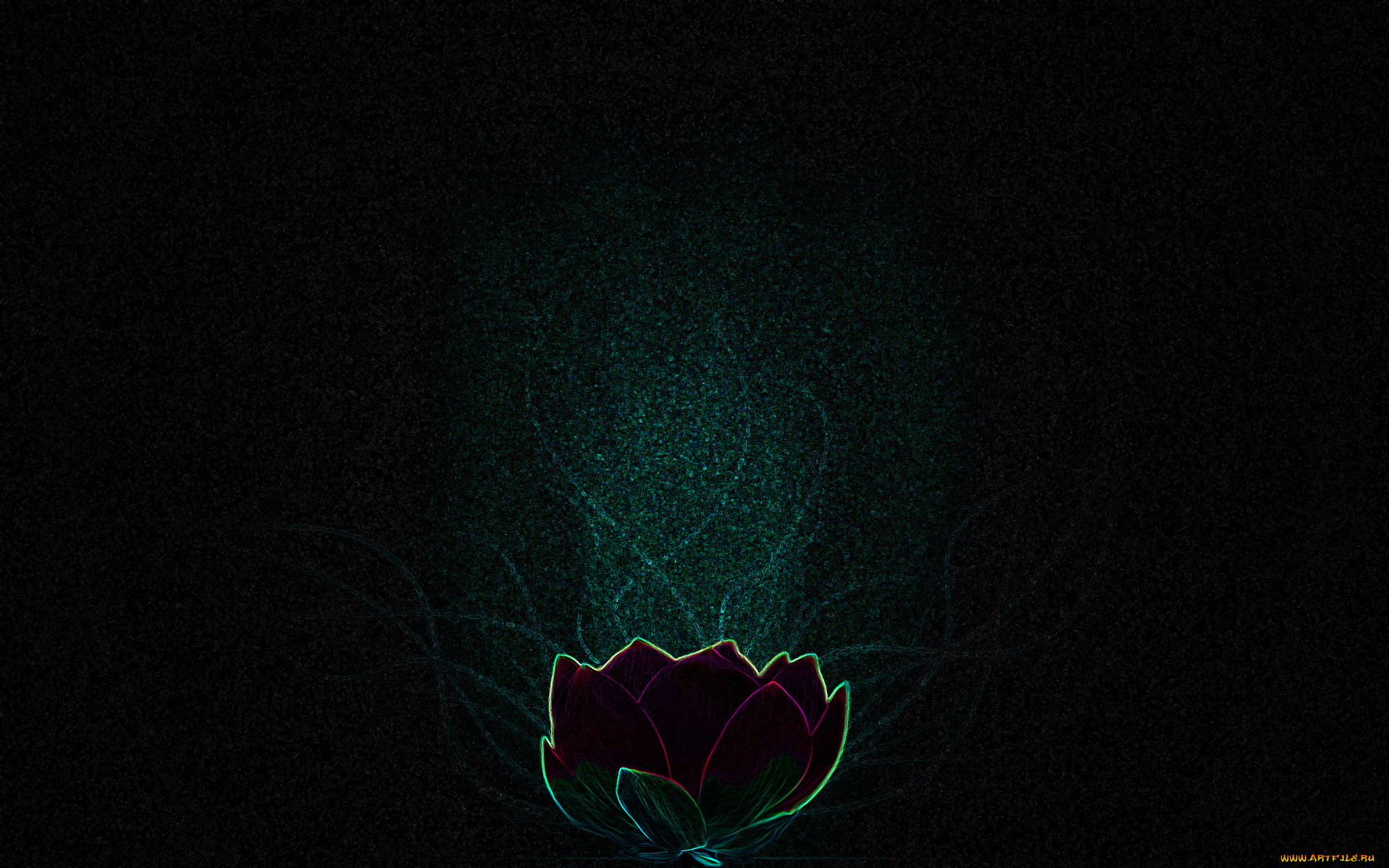 3д, графика, flowers, цветы, тюьпан