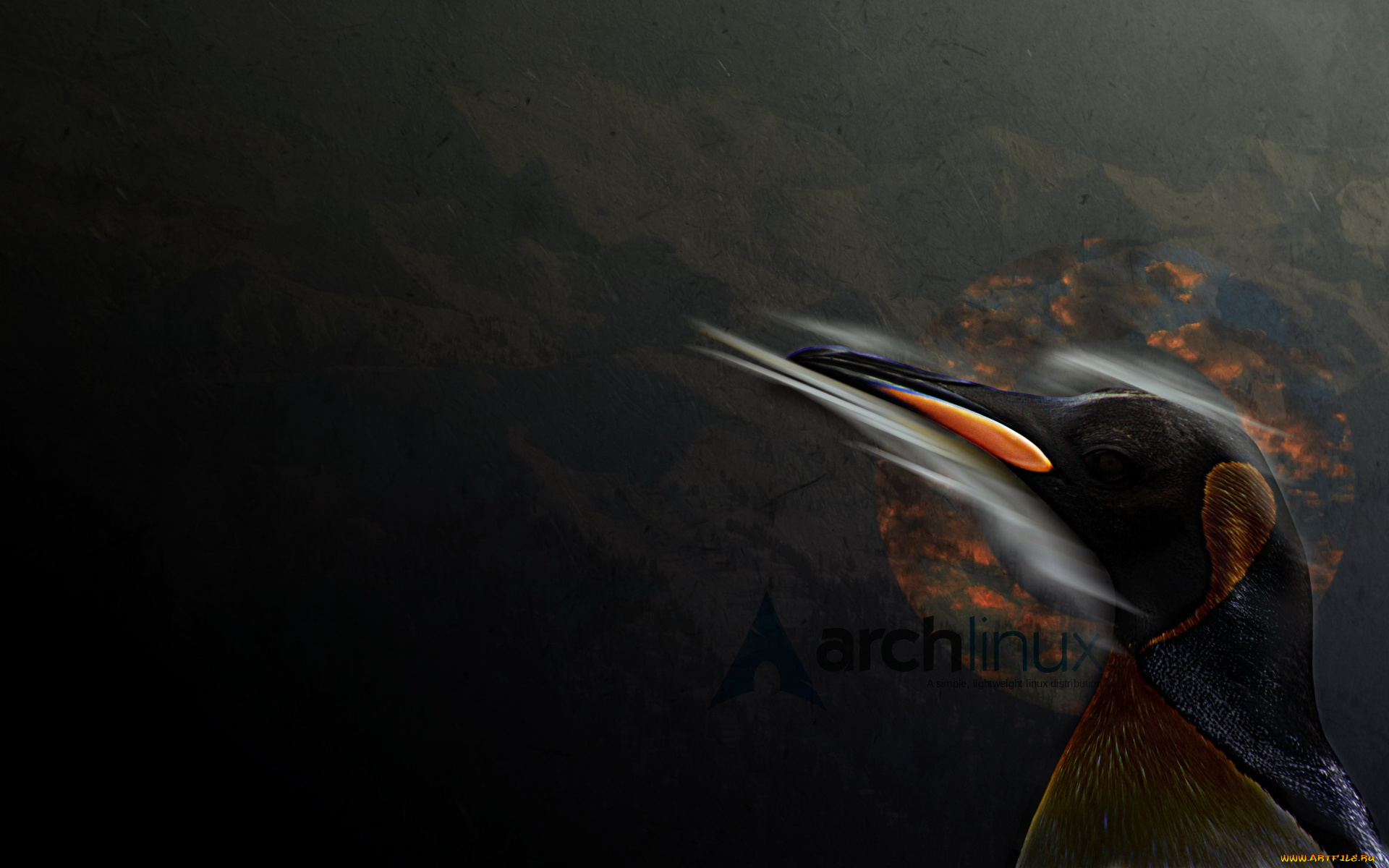 компьютеры, linux, пингвин