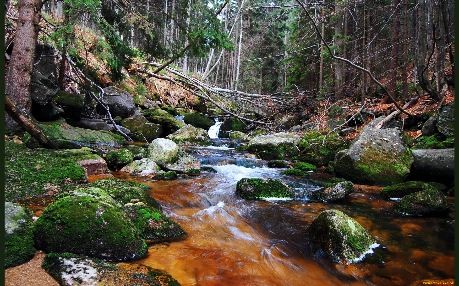 польша, шклярска, поремба, природа, водопады, река, водопад, лес