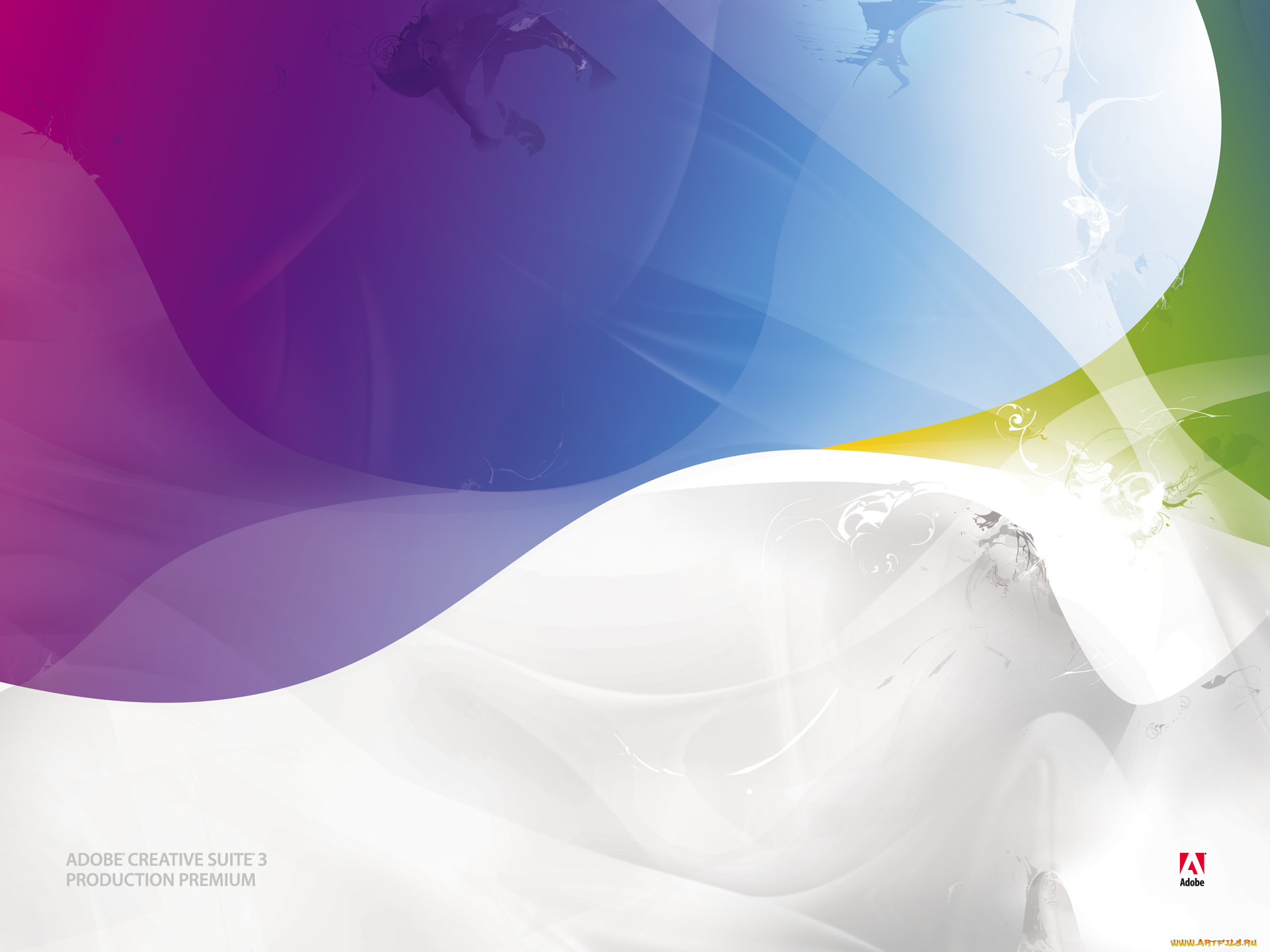 компьютеры, adobe