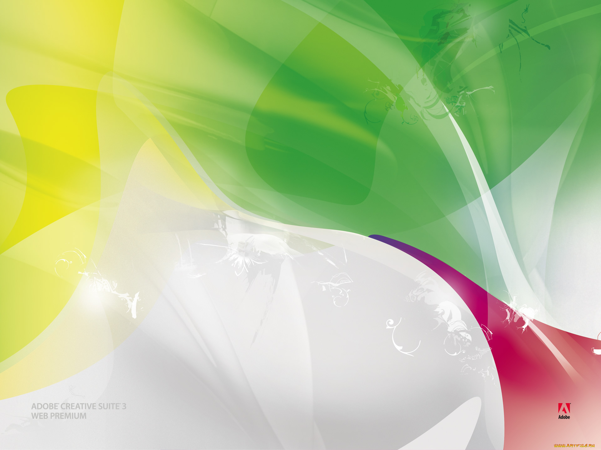 компьютеры, adobe