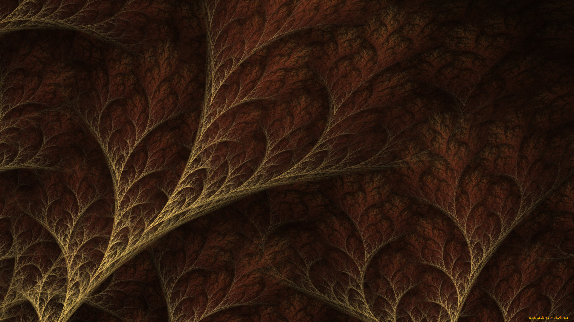 3д, графика, фракталы, , fractal, узор, цвета, фон