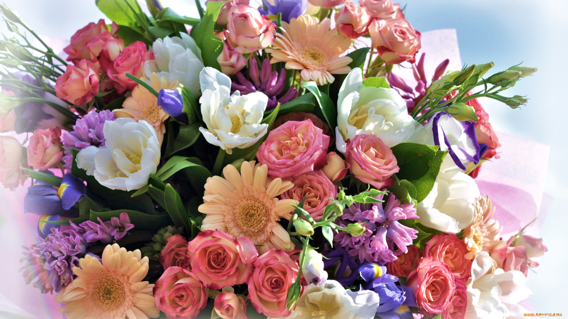 цветы, букеты, , композиции, эустома, тюльпаны, гиацинты, розы