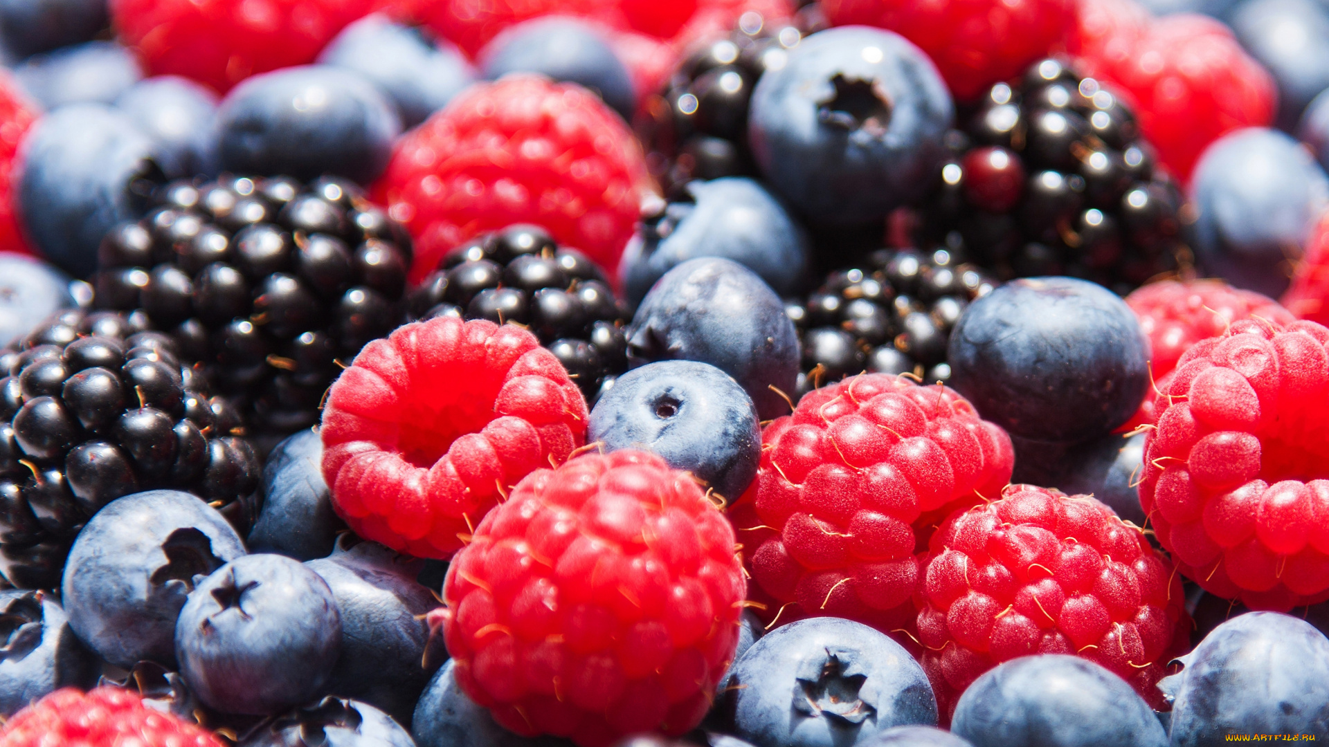 еда, фрукты, , ягоды, макро, голубика, малина, ягоды, ежевика