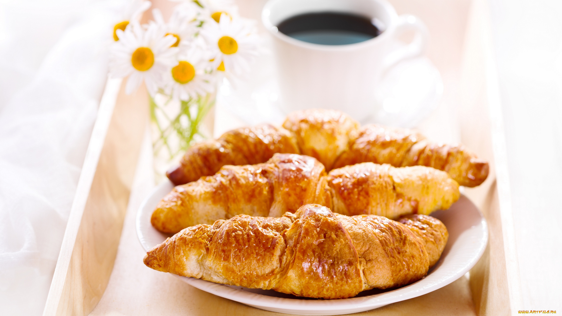 еда, хлеб, , выпечка, круассаны, кофе, ромашки, завтрак