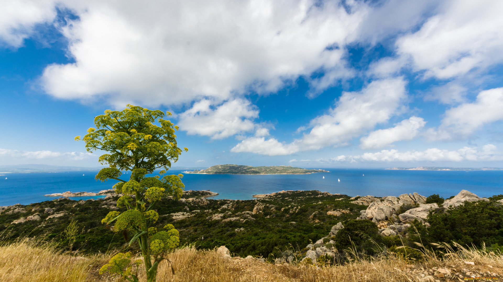 природа, побережье, океан, облака, остров