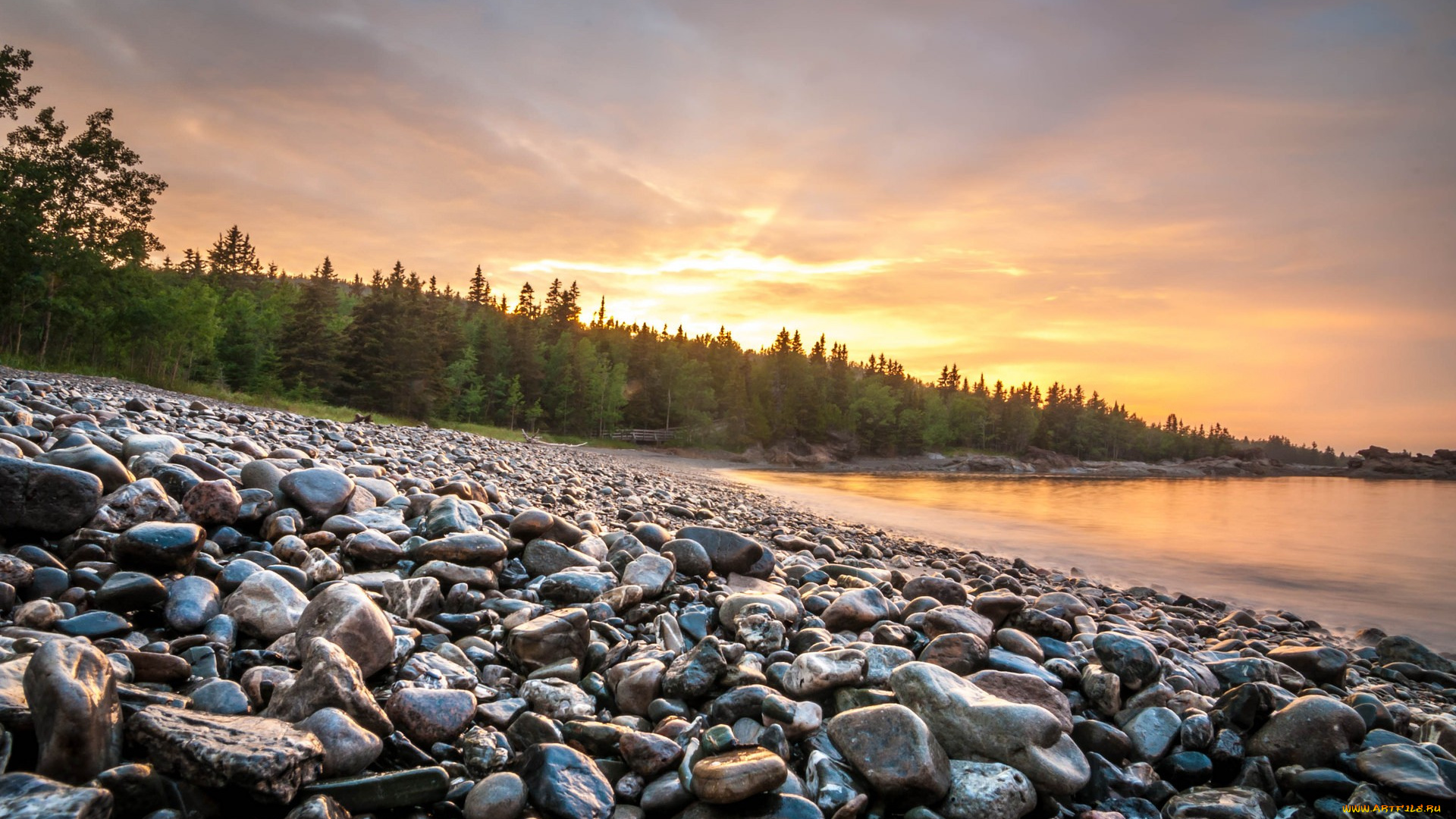 природа, реки, озера, камешки, деревья, озеро, закат