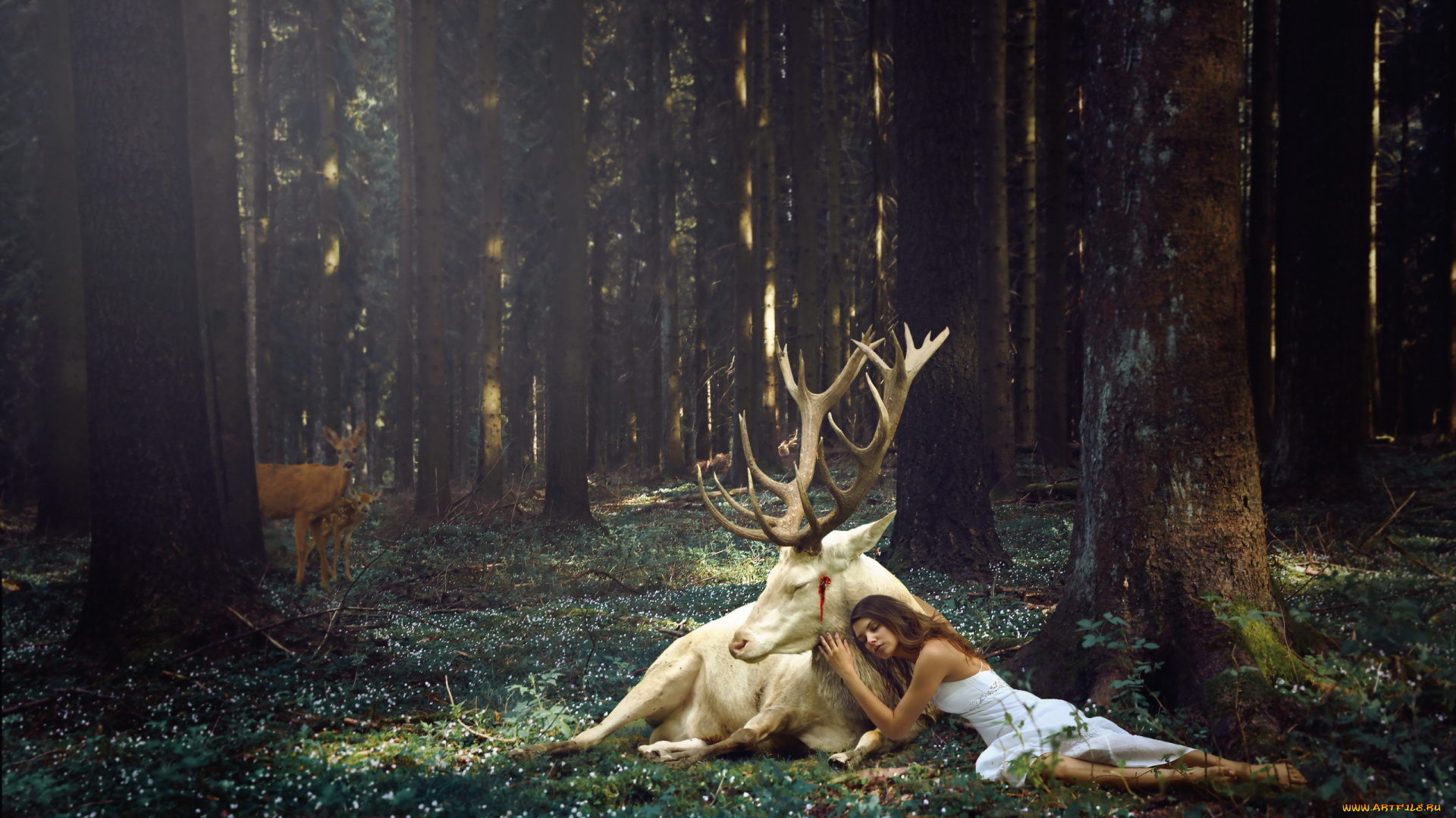 разное, компьютерный, дизайн, лес, олень, девушка