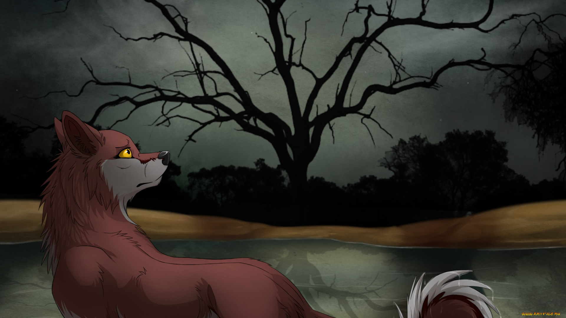 рисованные, животные, , лисы, лиса, ночь