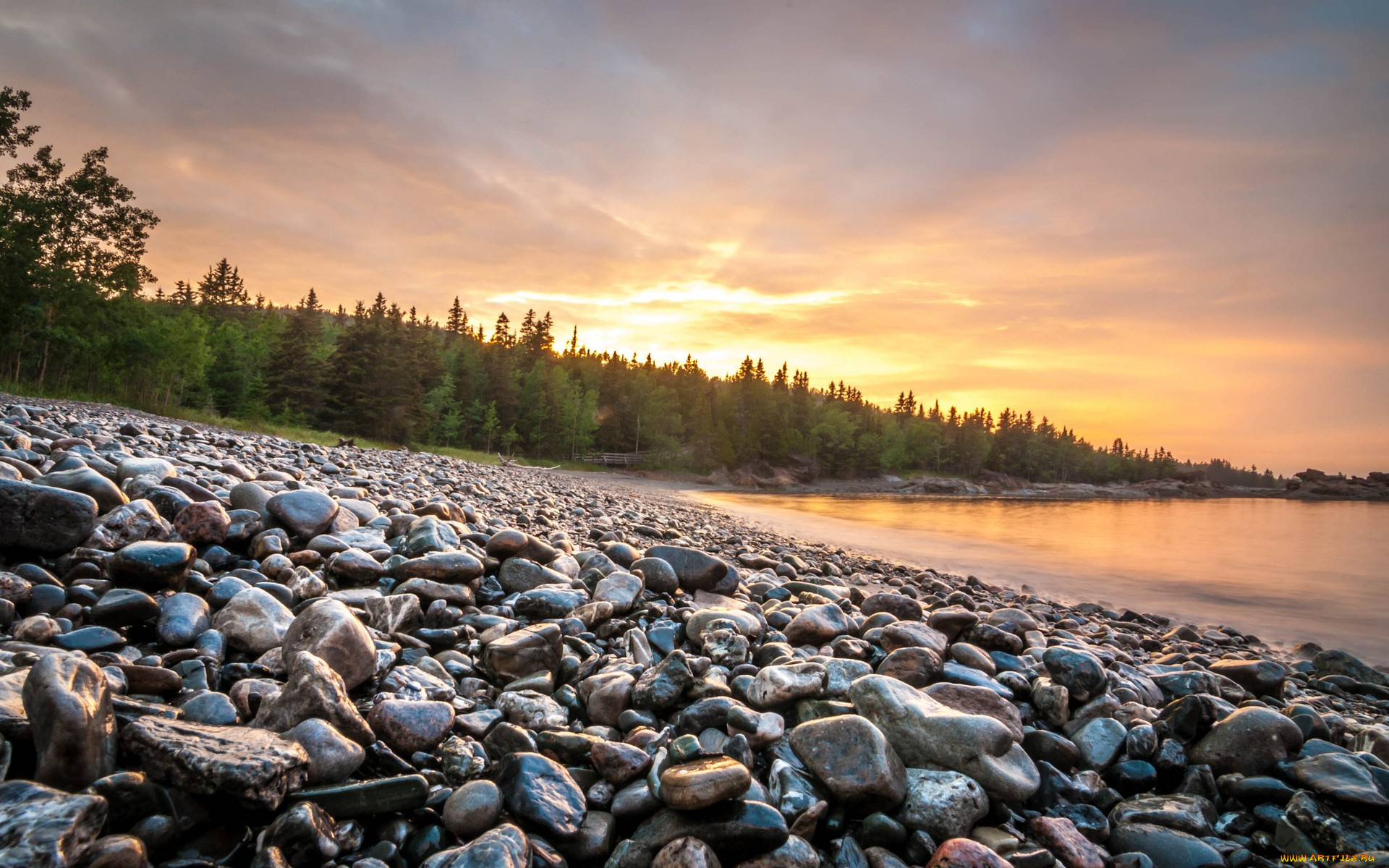 природа, реки, озера, камешки, деревья, озеро, закат