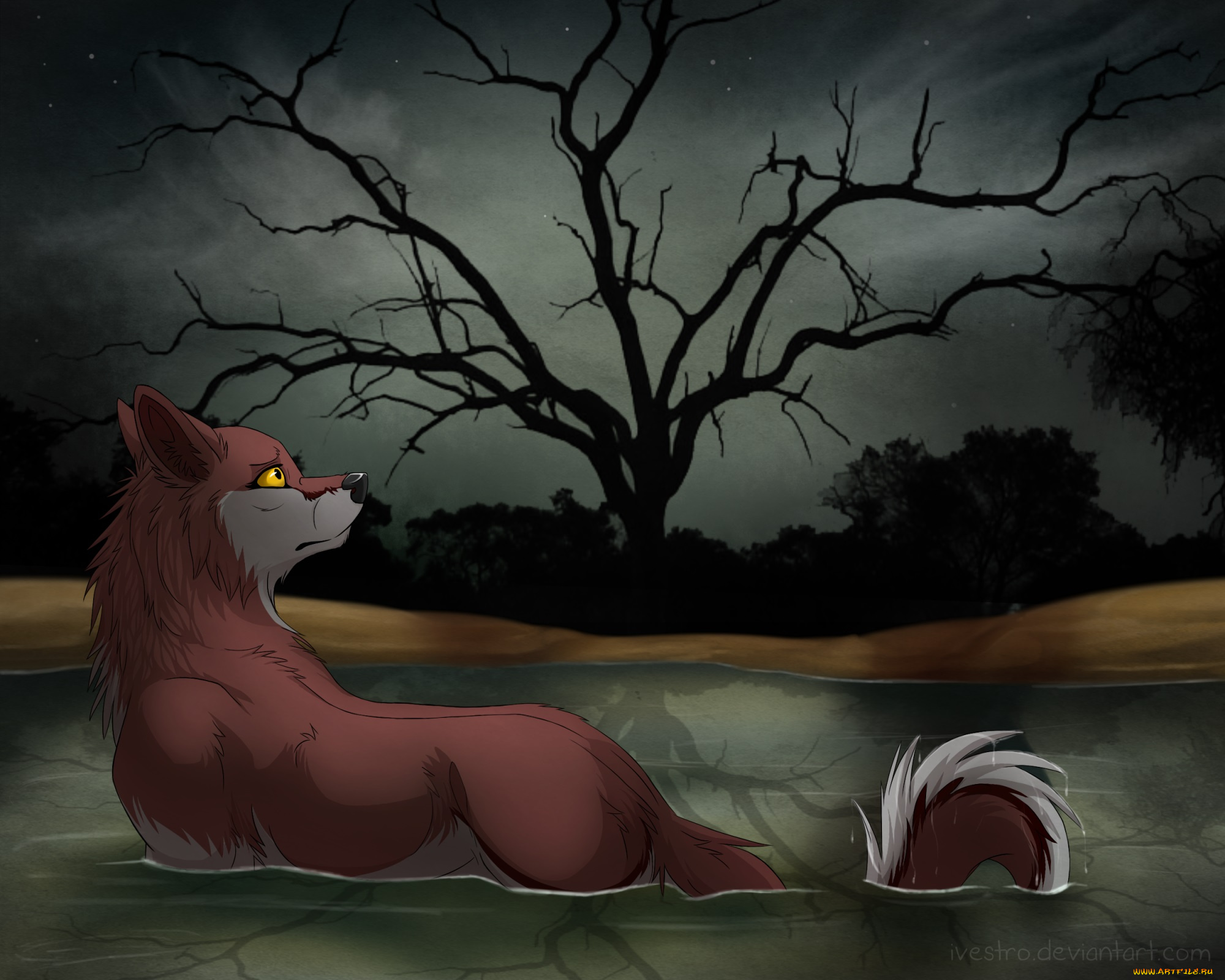 рисованные, животные, , лисы, лиса, ночь