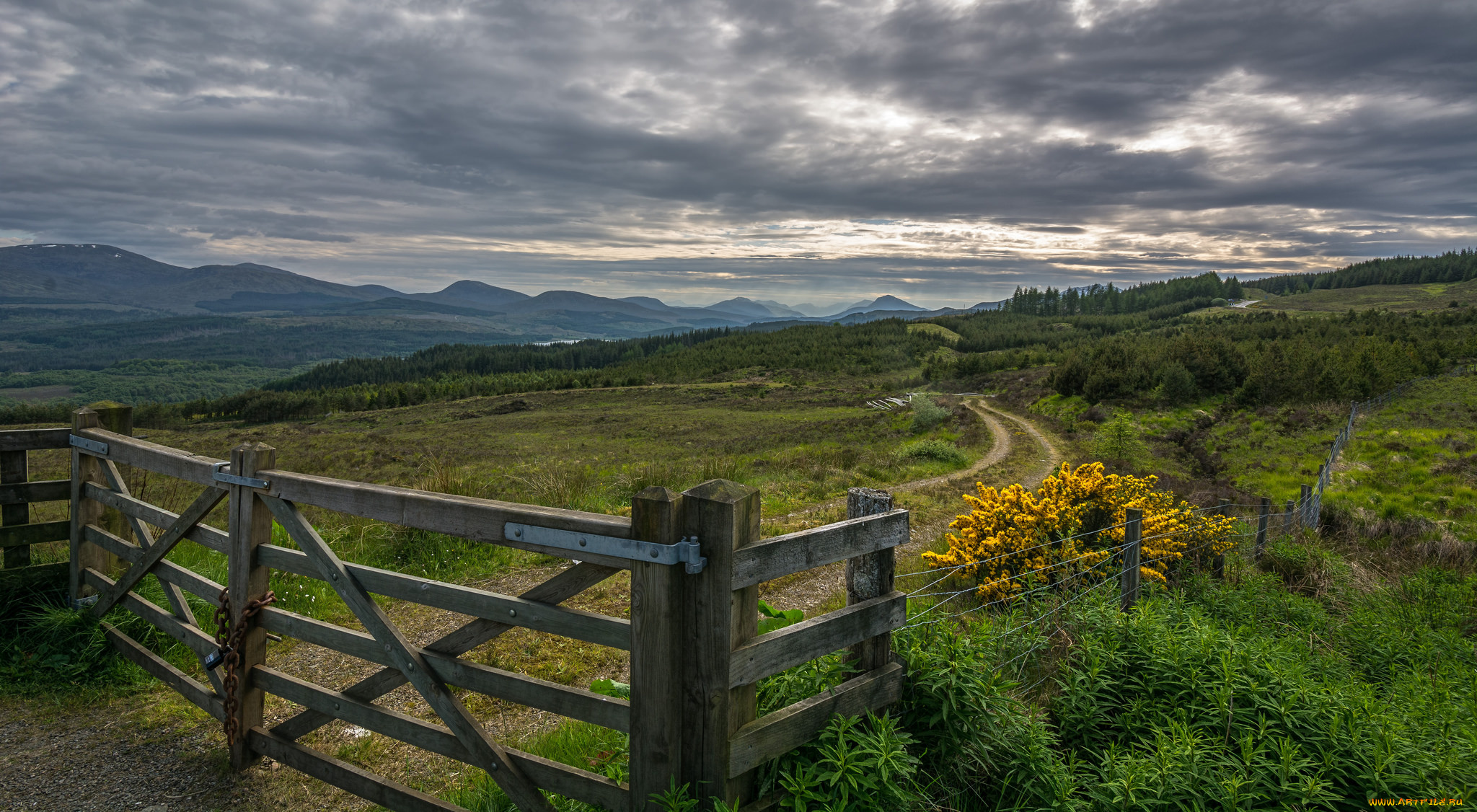 природа, дороги, поле, дорога, забор, калитка, тучи
