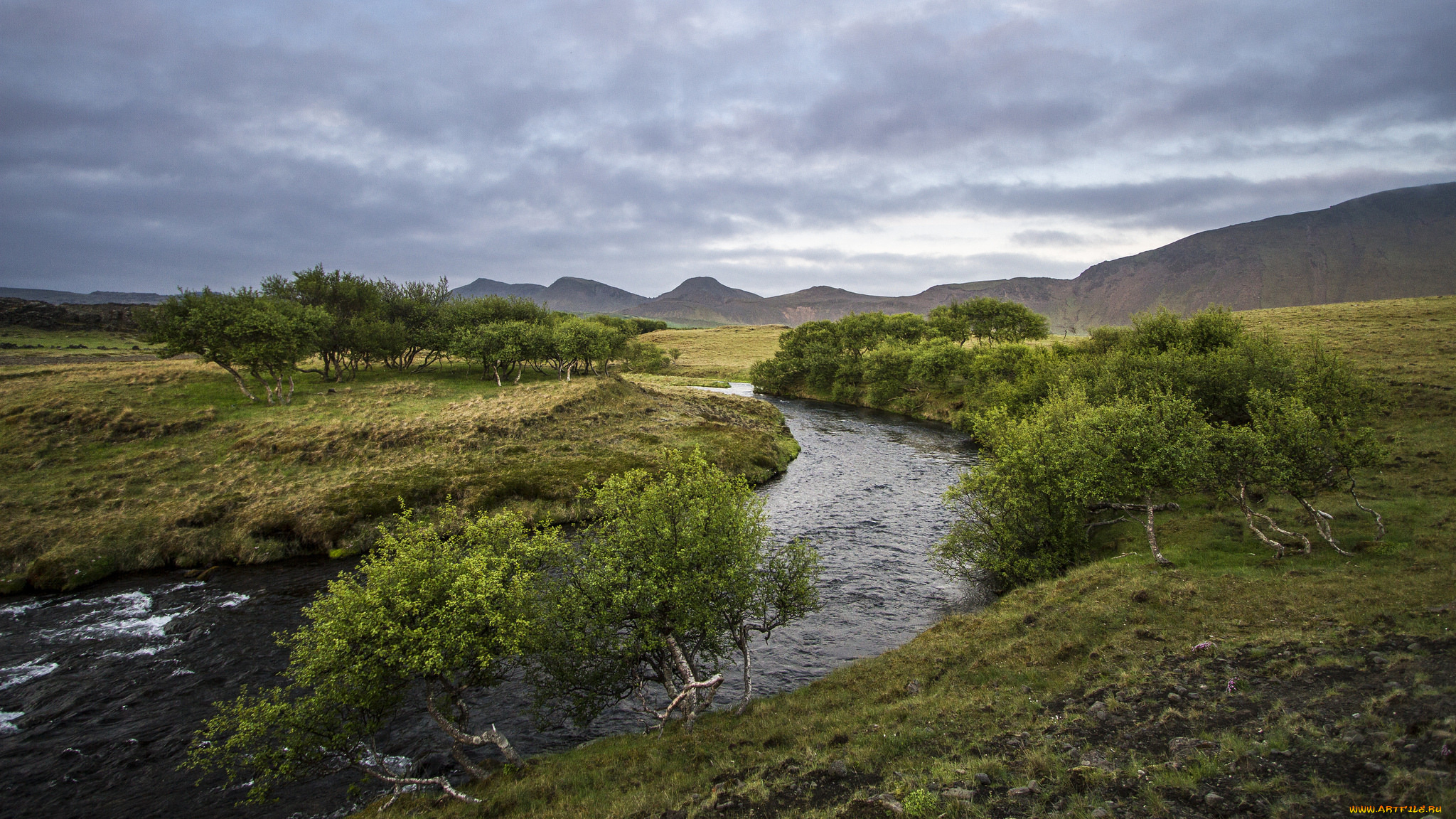 природа, реки, озера, деревья, лето, холмы, река