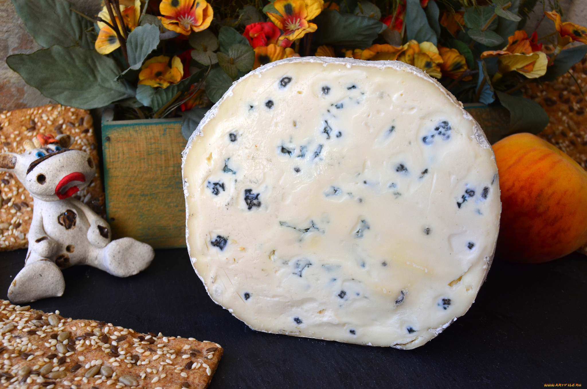 еда, сырные, изделия, сыр, плесень