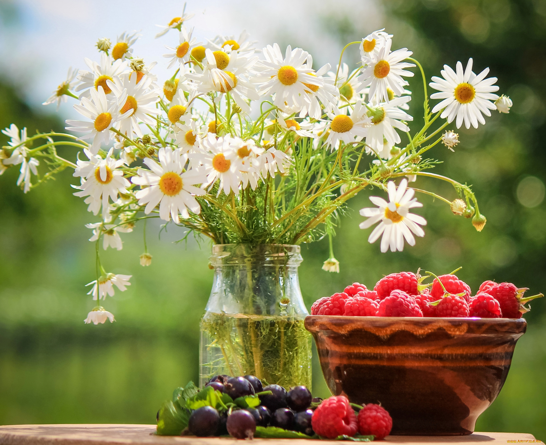 еда, фрукты, , ягоды, малина, ромашки, смородина
